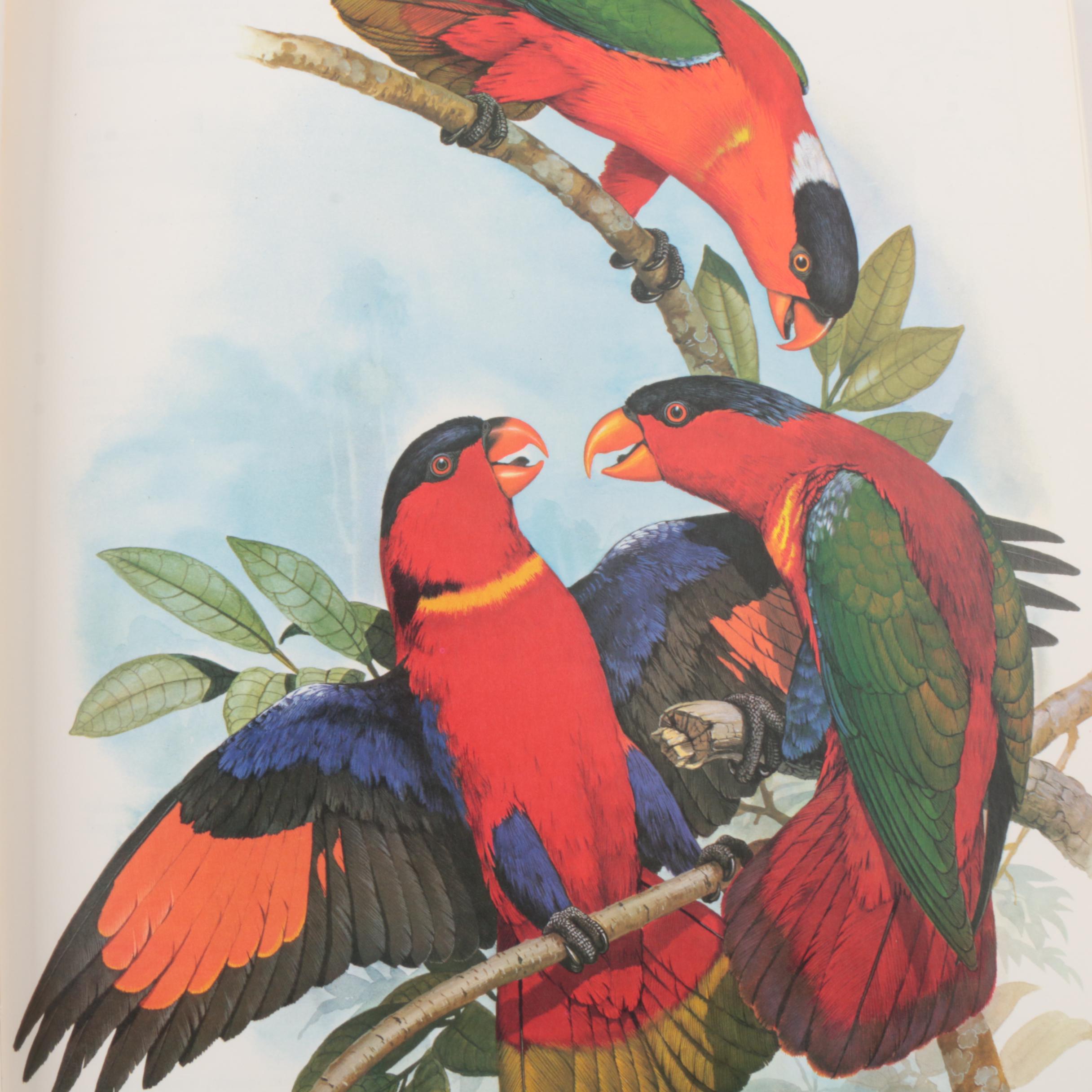 1973 "Parrots of the World" by Joseph M. Forshaw