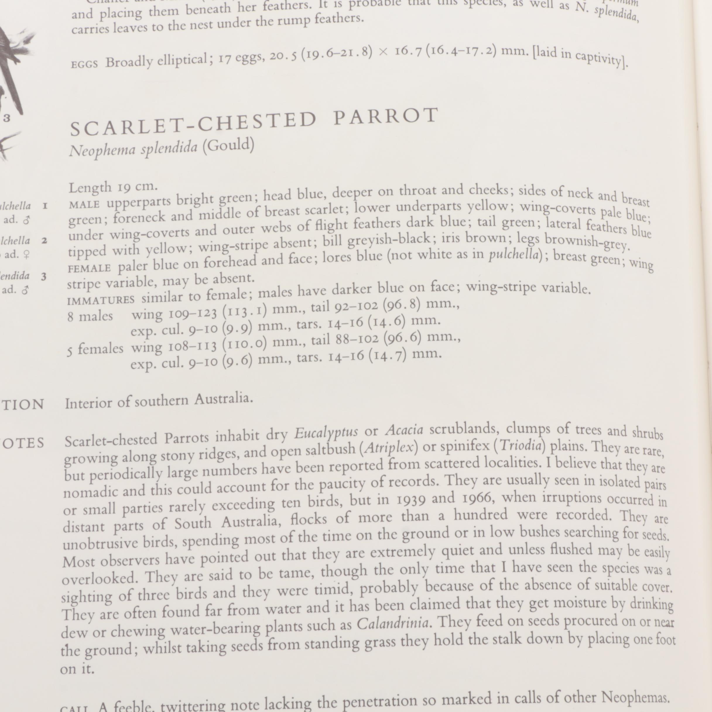 1973 "Parrots of the World" by Joseph M. Forshaw