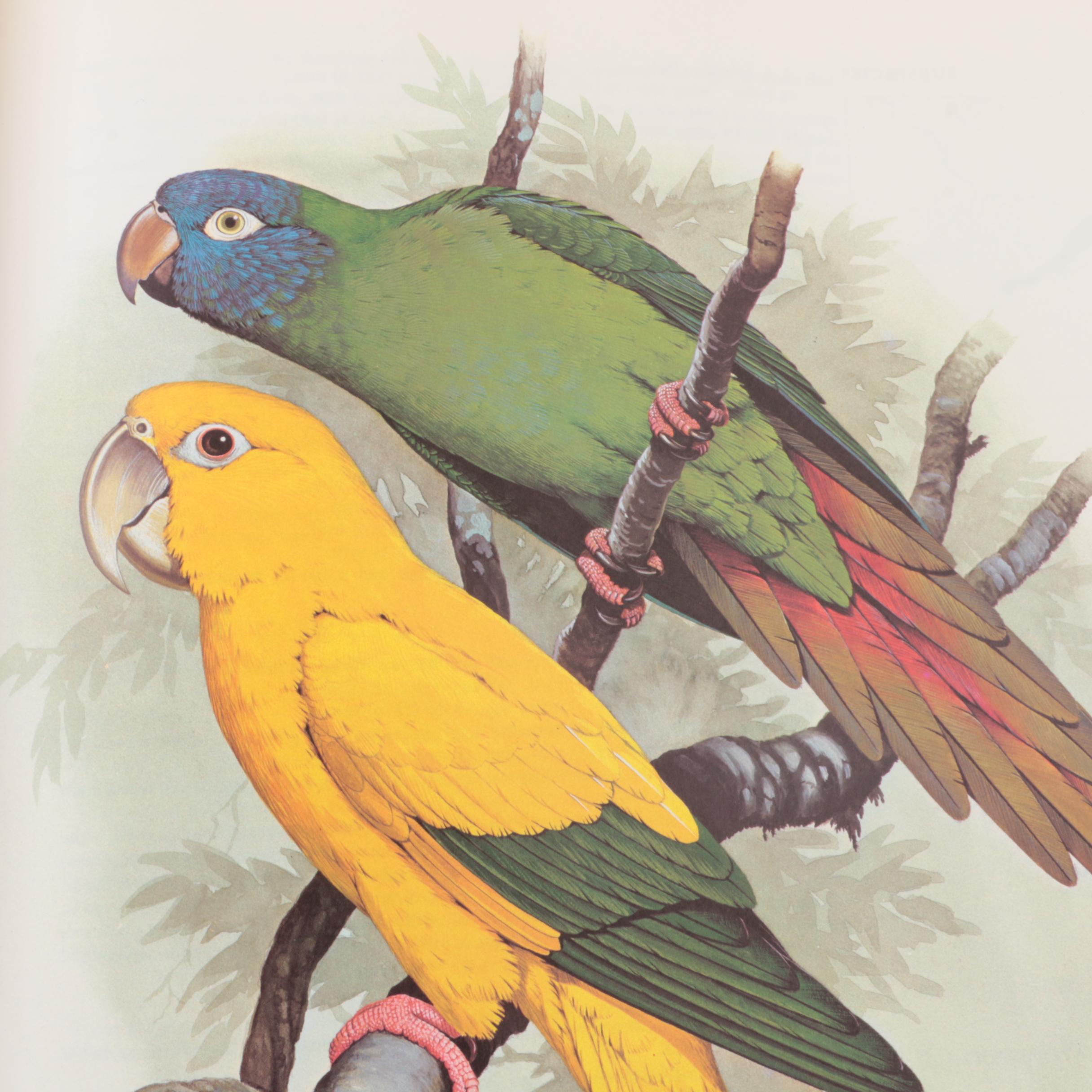 1973 "Parrots of the World" by Joseph M. Forshaw