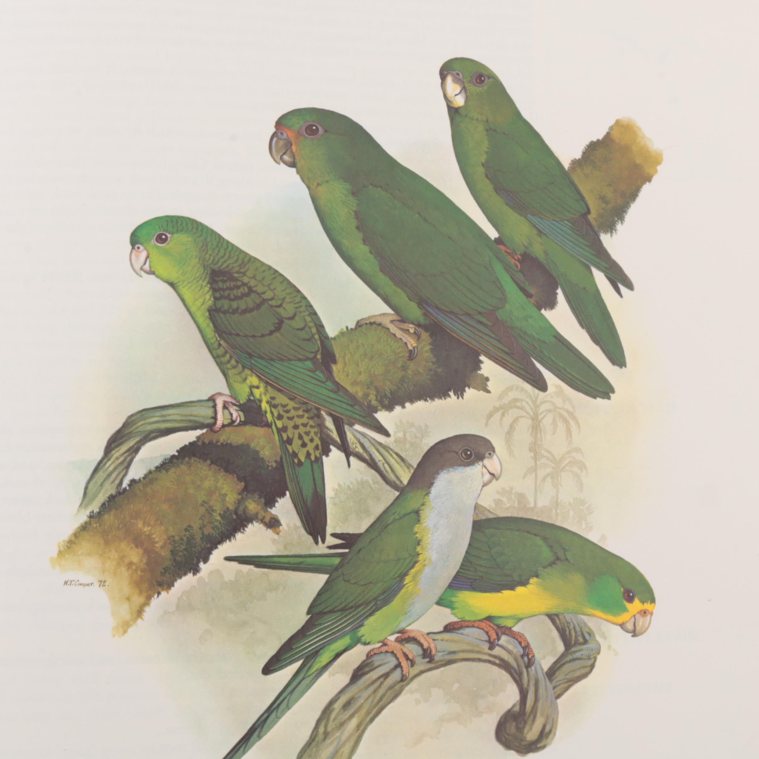 1973 "Parrots of the World" by Joseph M. Forshaw