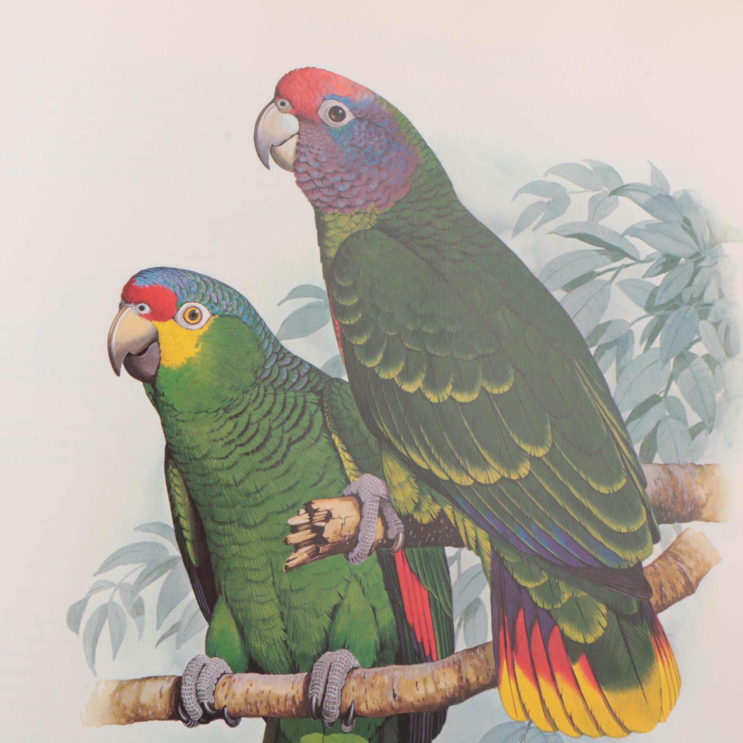 1973 "Parrots of the World" by Joseph M. Forshaw