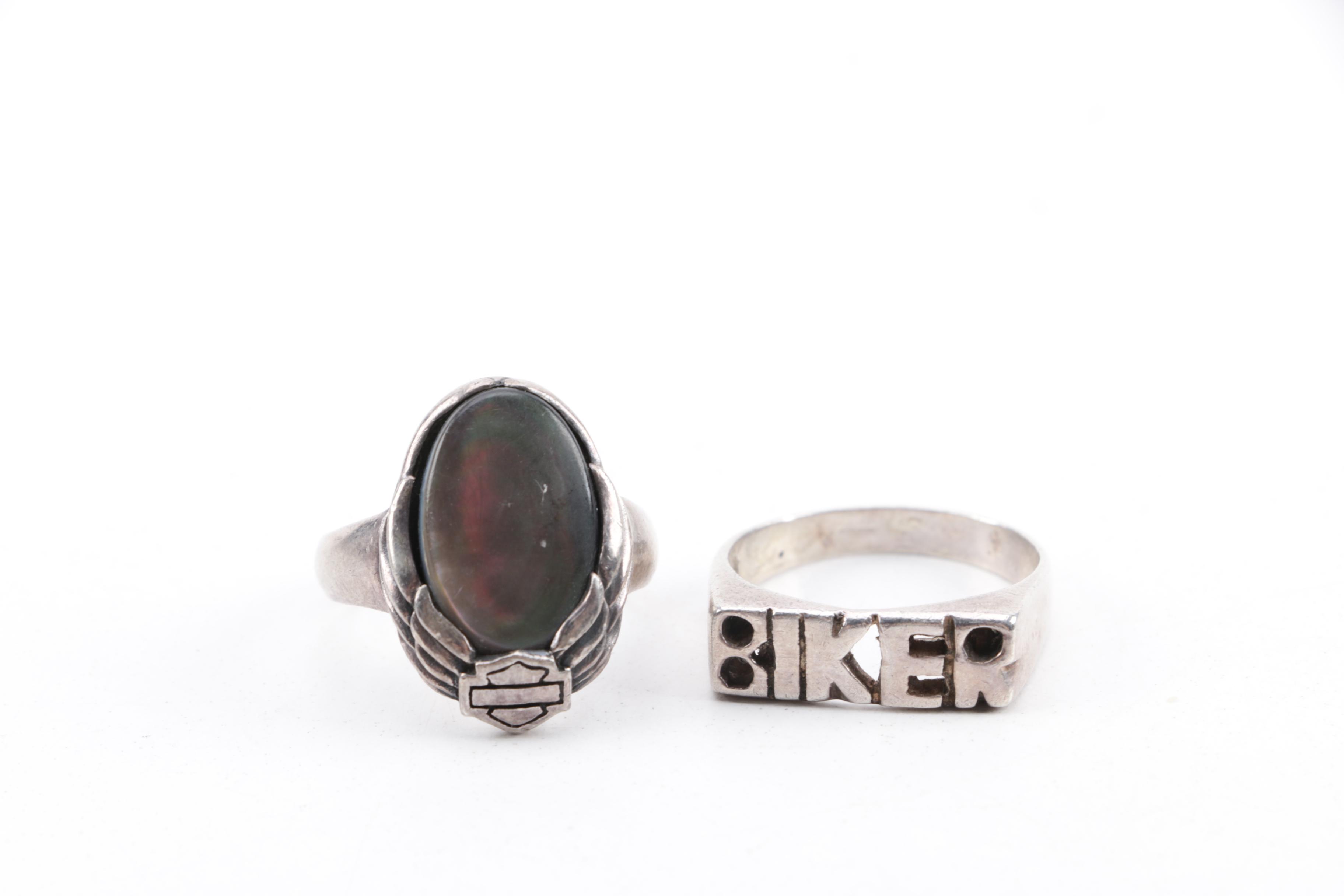 Harley-Davidson Sportster Air Cleaner Insert Kit, Sterling Rings and Key Chain