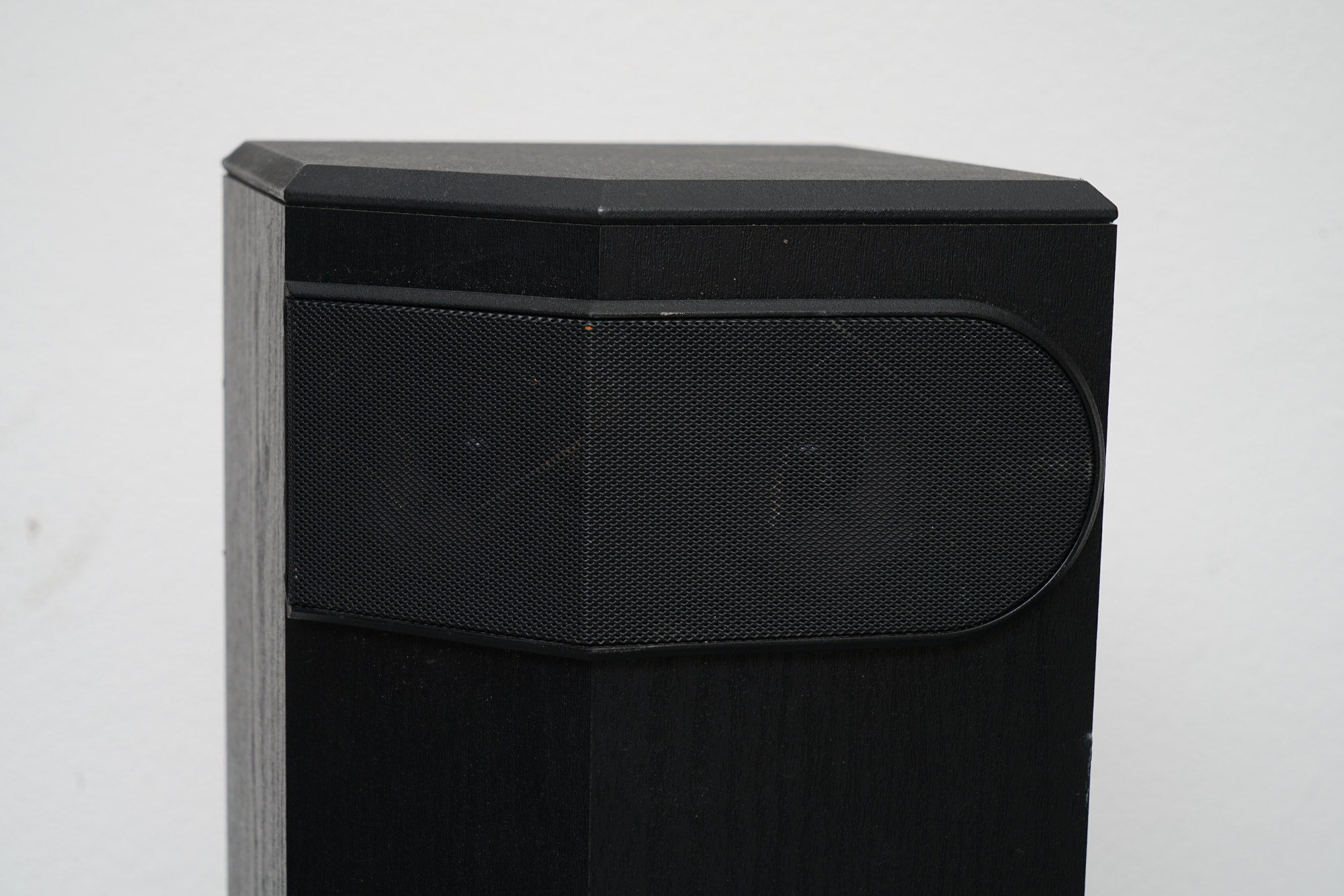 Bose Floor Standing Speakers