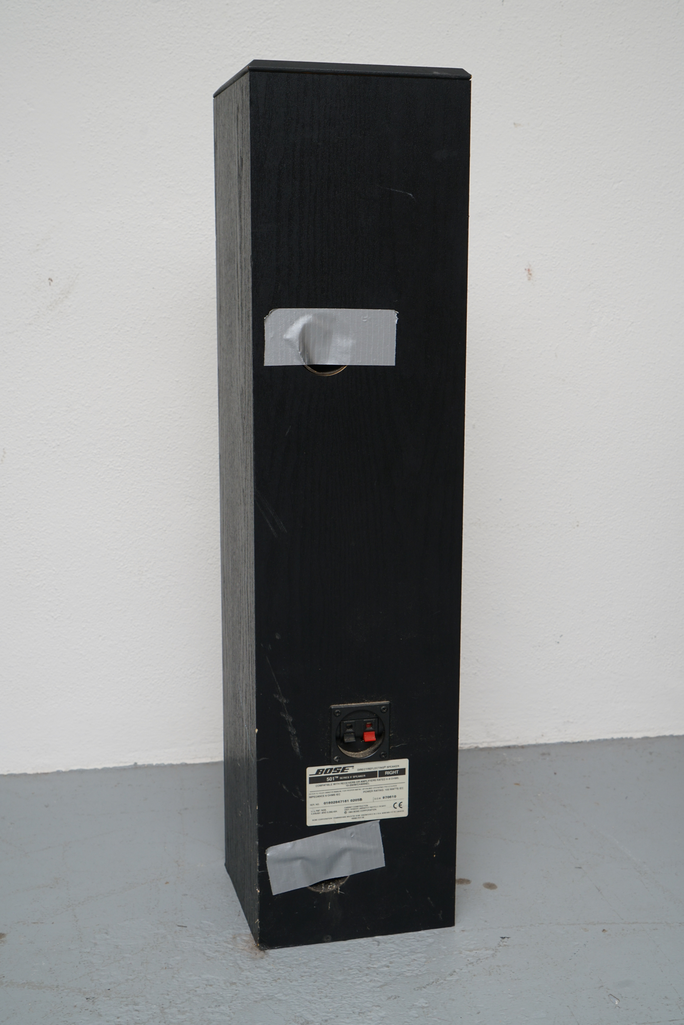 Bose Floor Standing Speakers