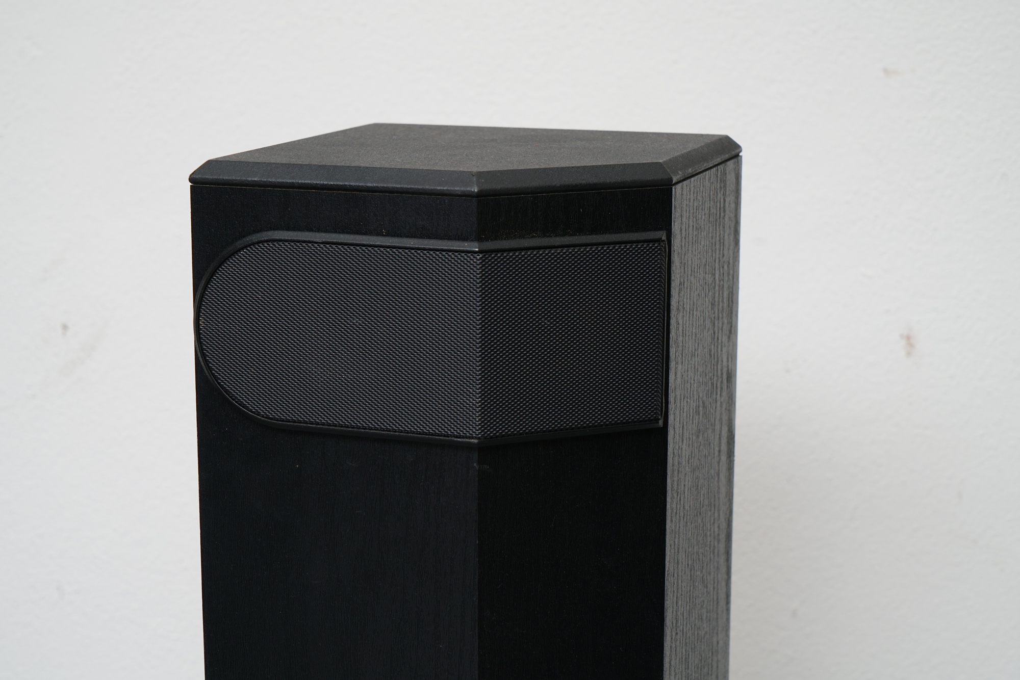 Bose Floor Standing Speakers