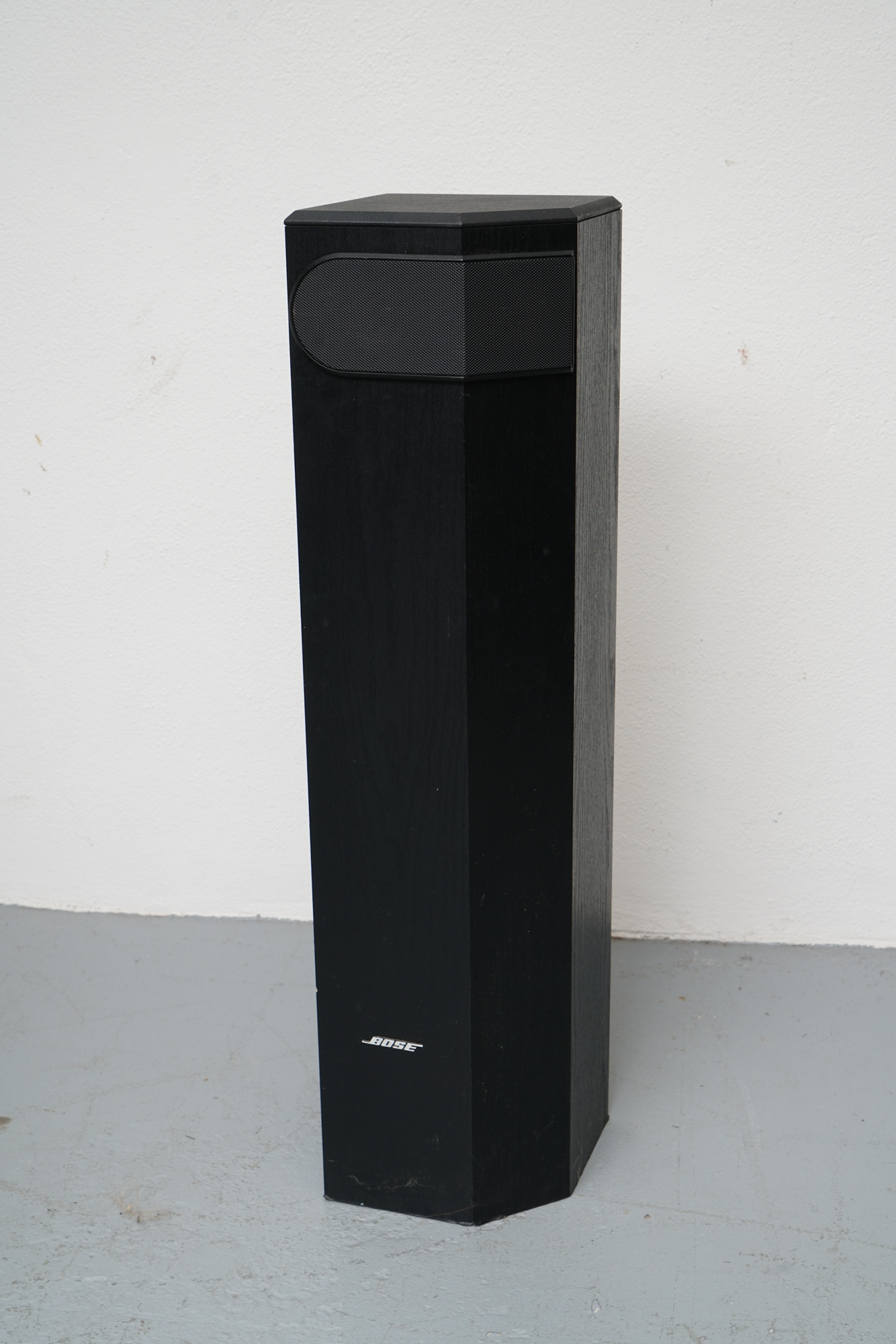 Bose Floor Standing Speakers