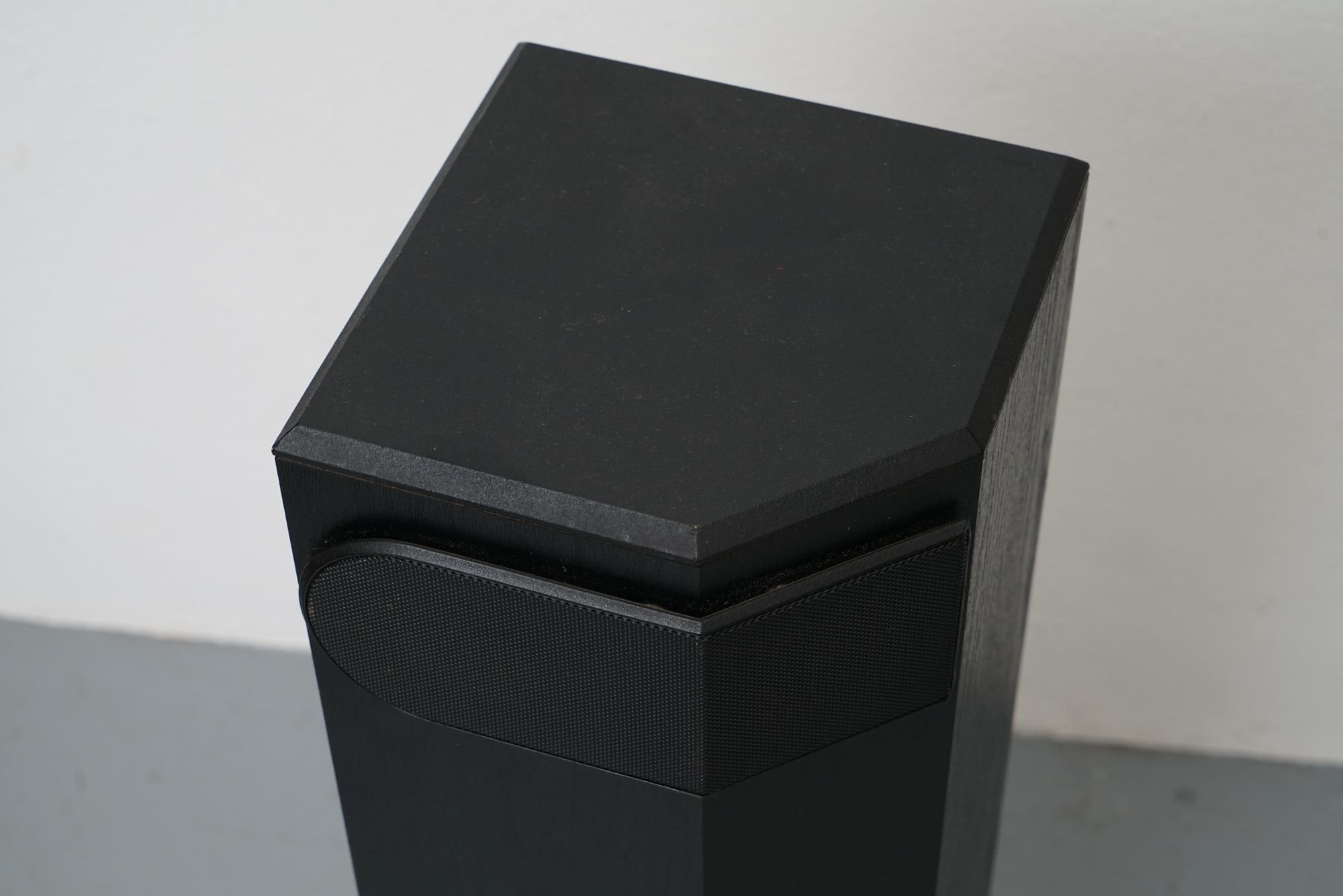 Bose Floor Standing Speakers