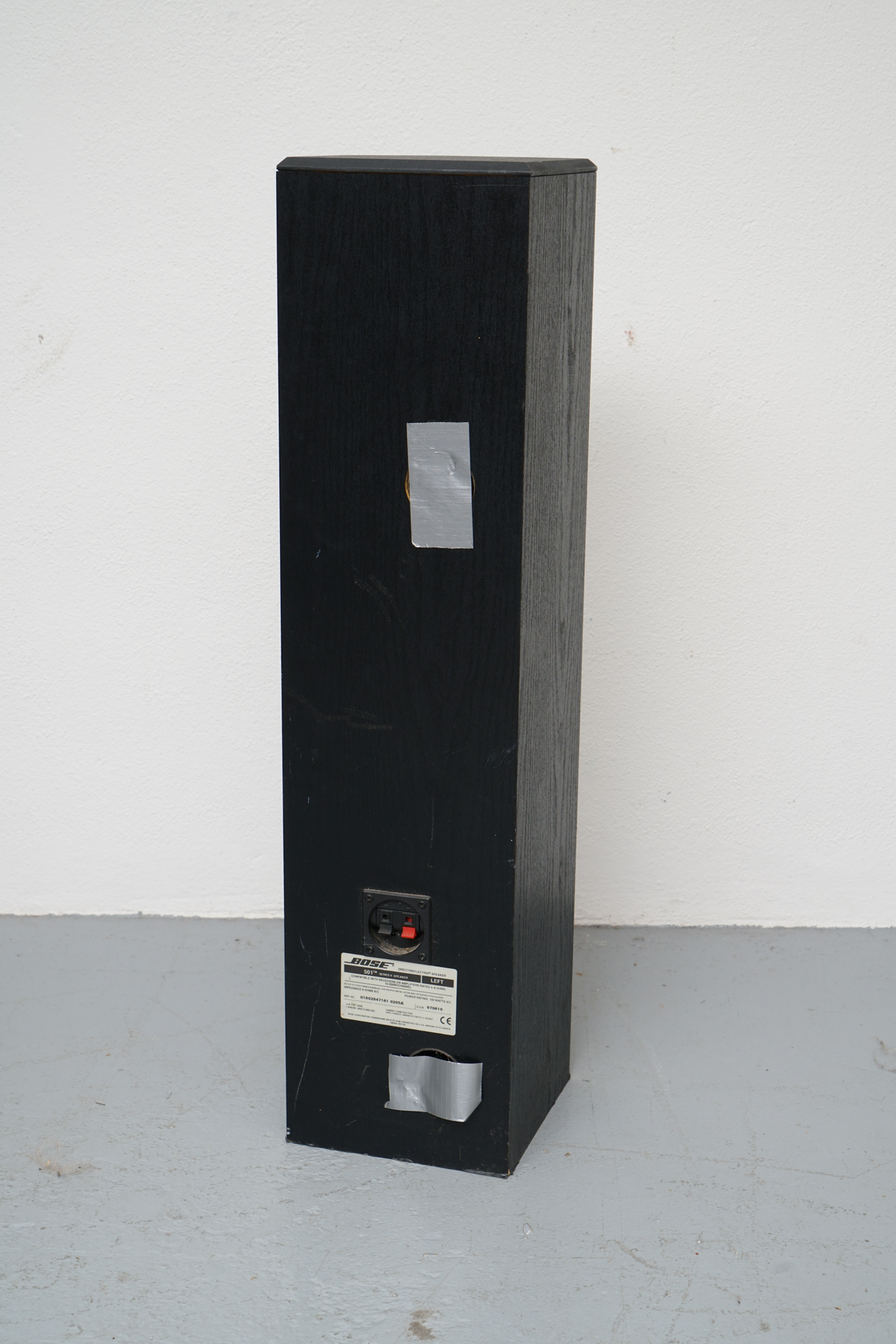 Bose Floor Standing Speakers