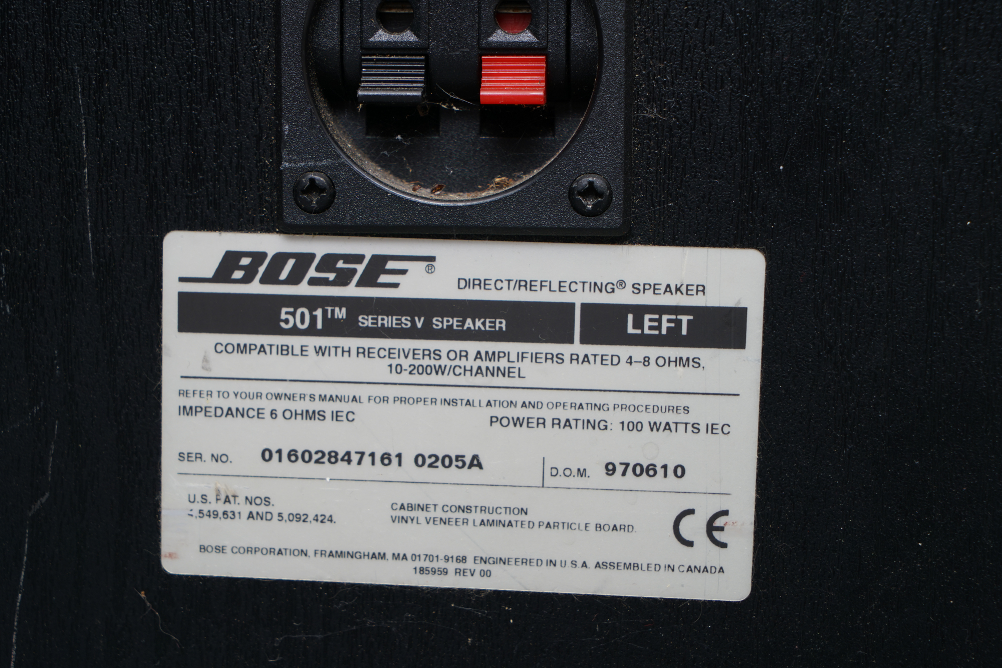Bose Floor Standing Speakers