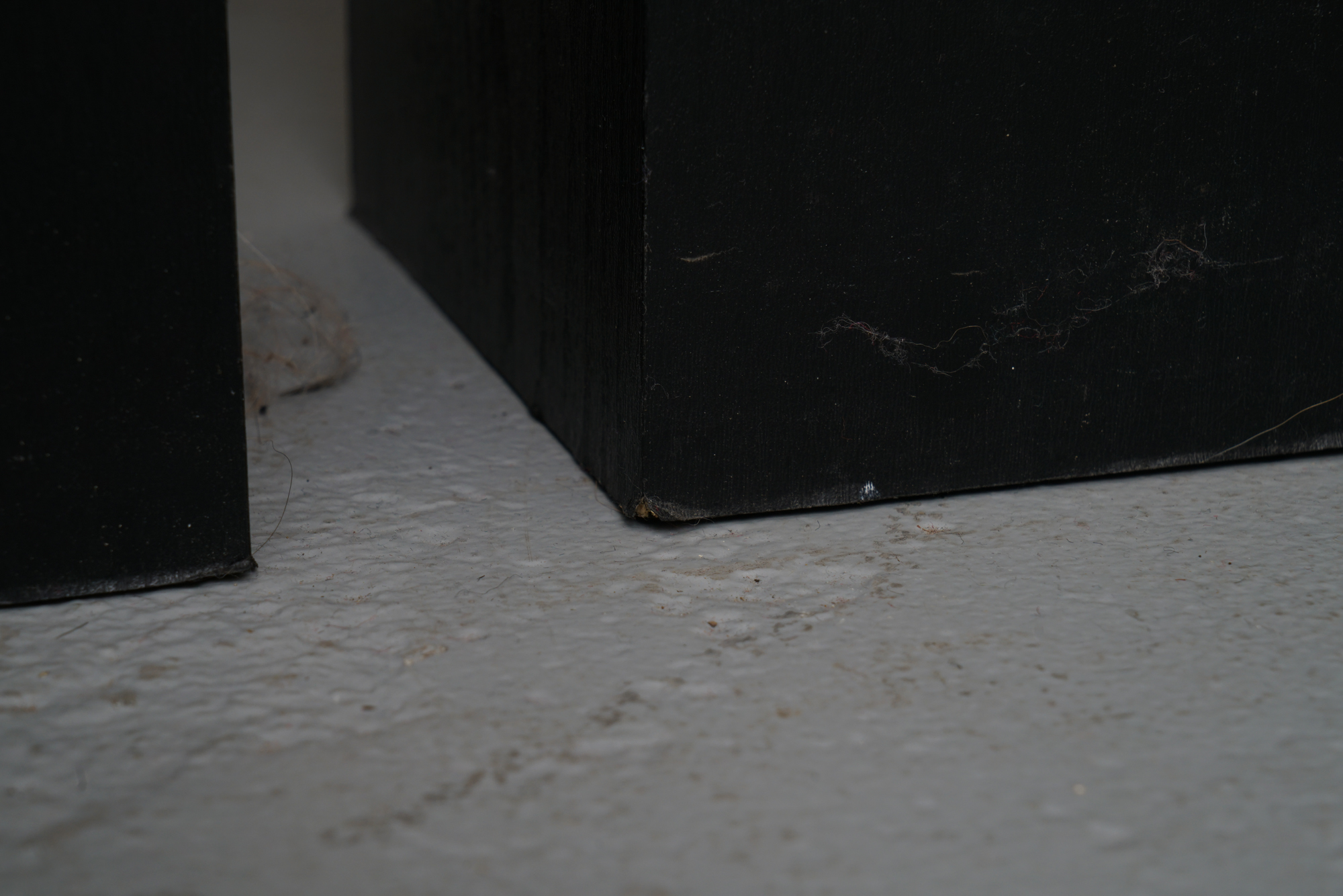 Bose Floor Standing Speakers