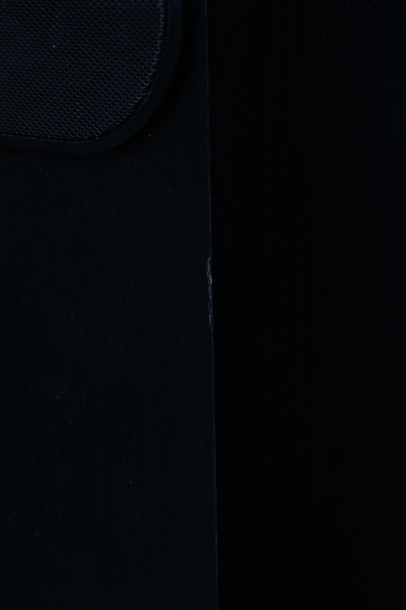 Bose Floor Standing Speakers