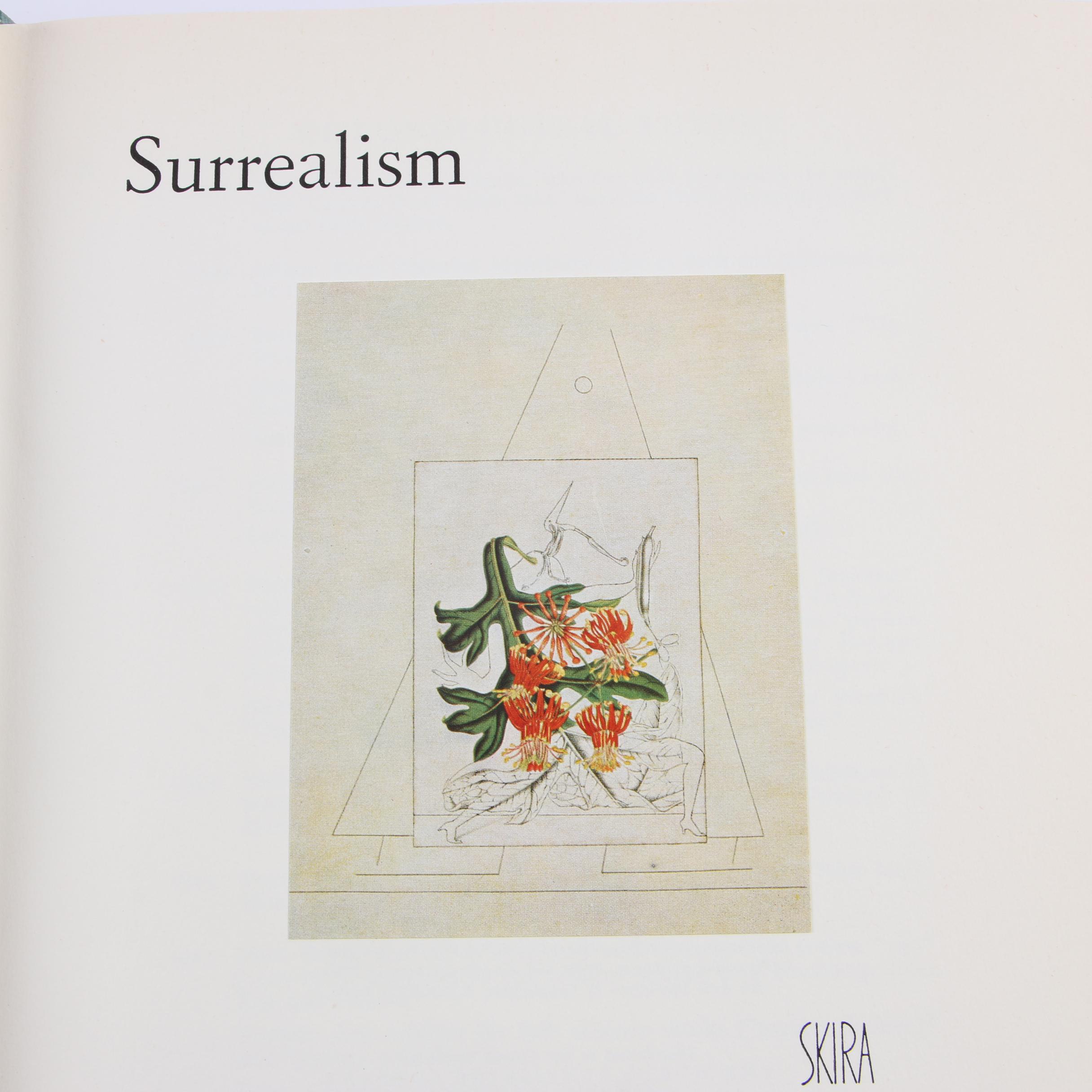 Skira Art Books including "Paris in Our Time" and "Paris in the Past"