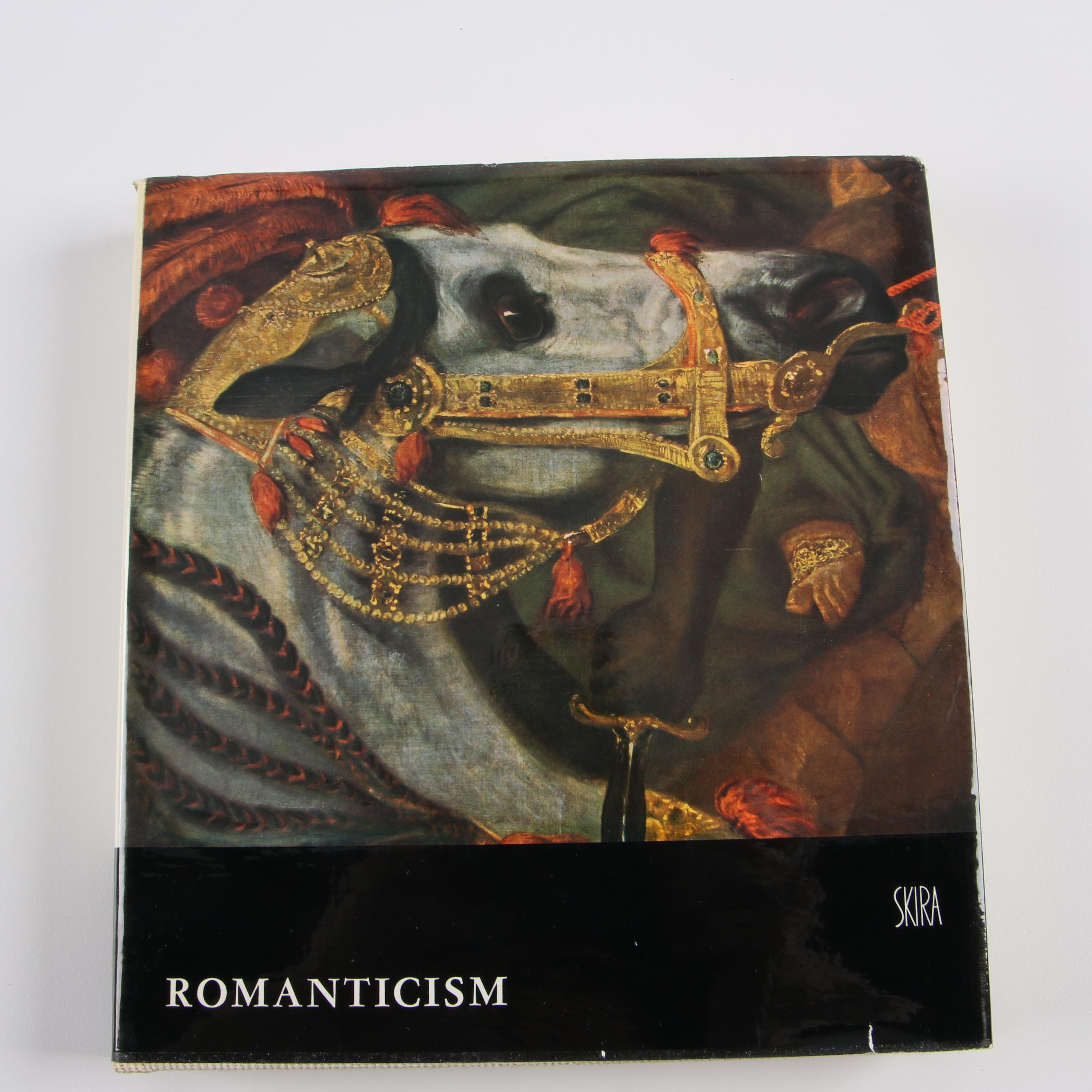 Skira Art Books including "Paris in Our Time" and "Paris in the Past"