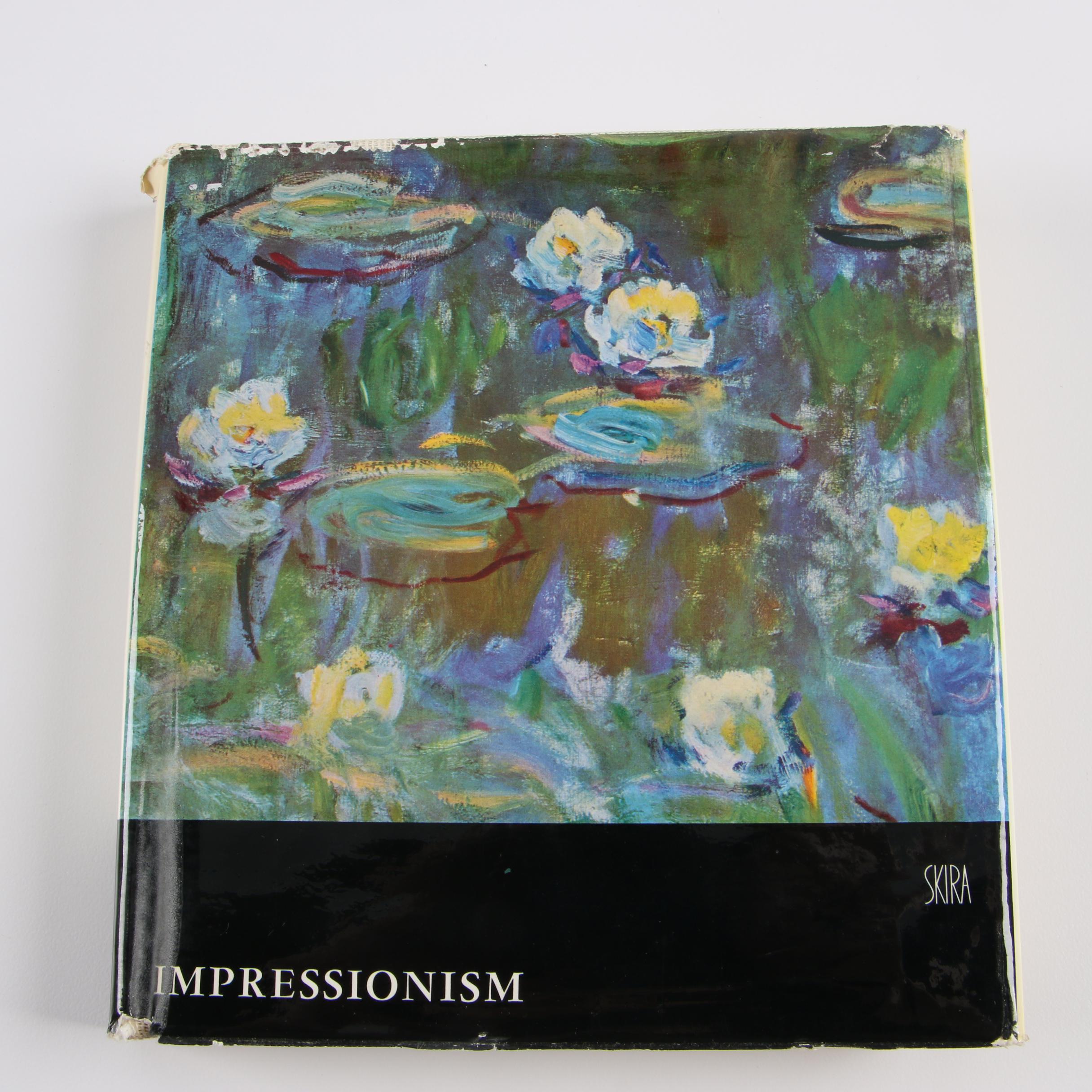 Skira Art Books including "Paris in Our Time" and "Paris in the Past"