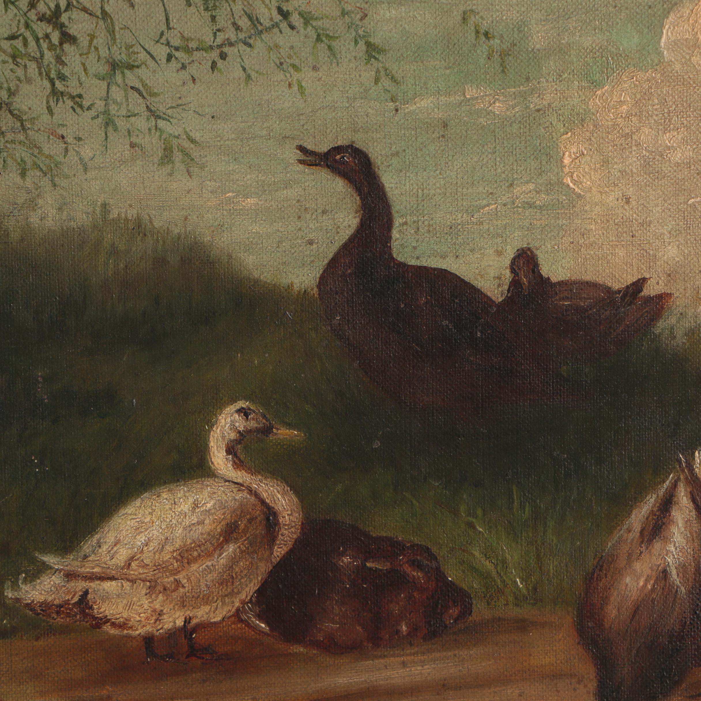 American School, Water Fowl, Oil Painting on Canvas, 19th Century