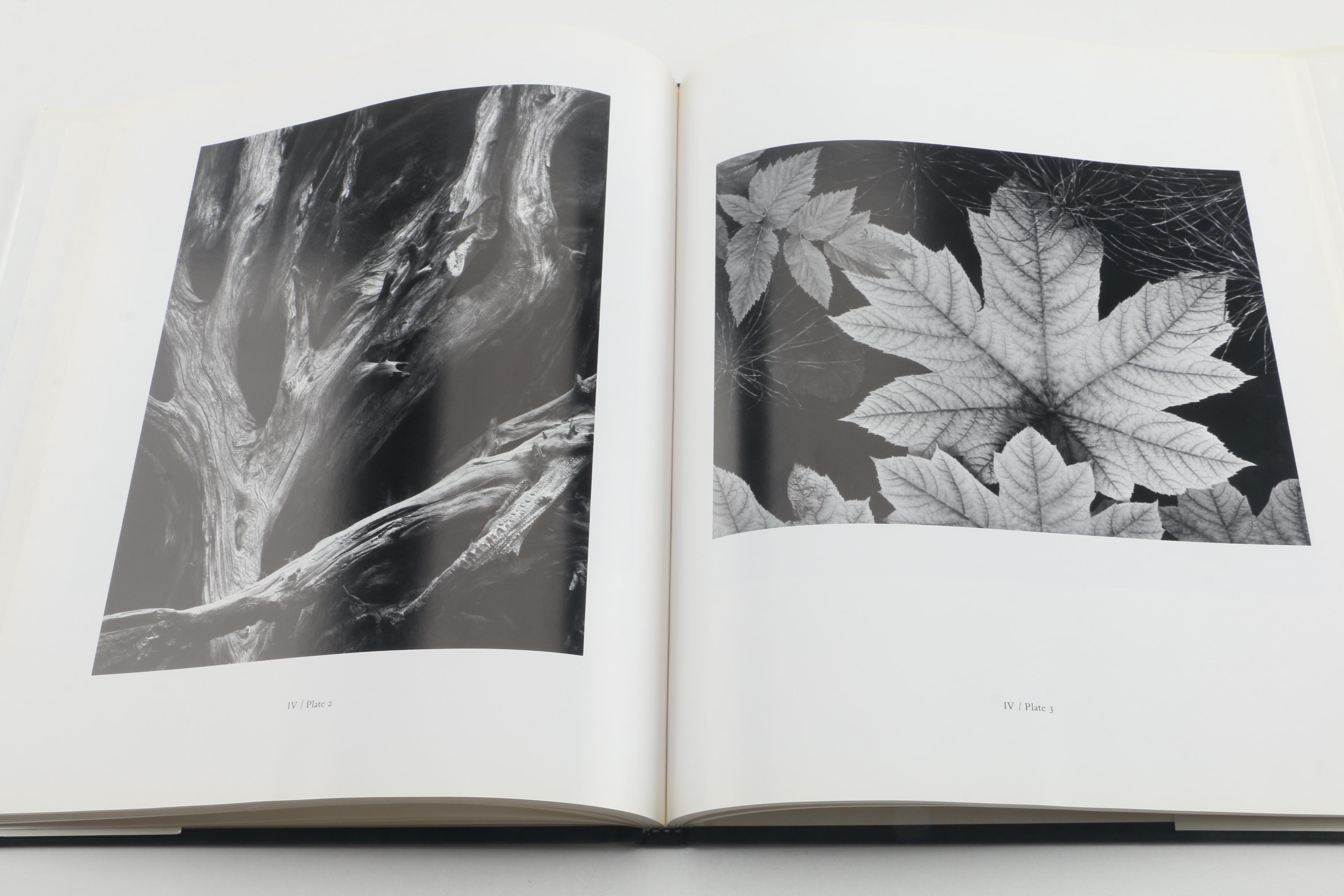 Artist Biographies and Albums featuring Gerhard Richter