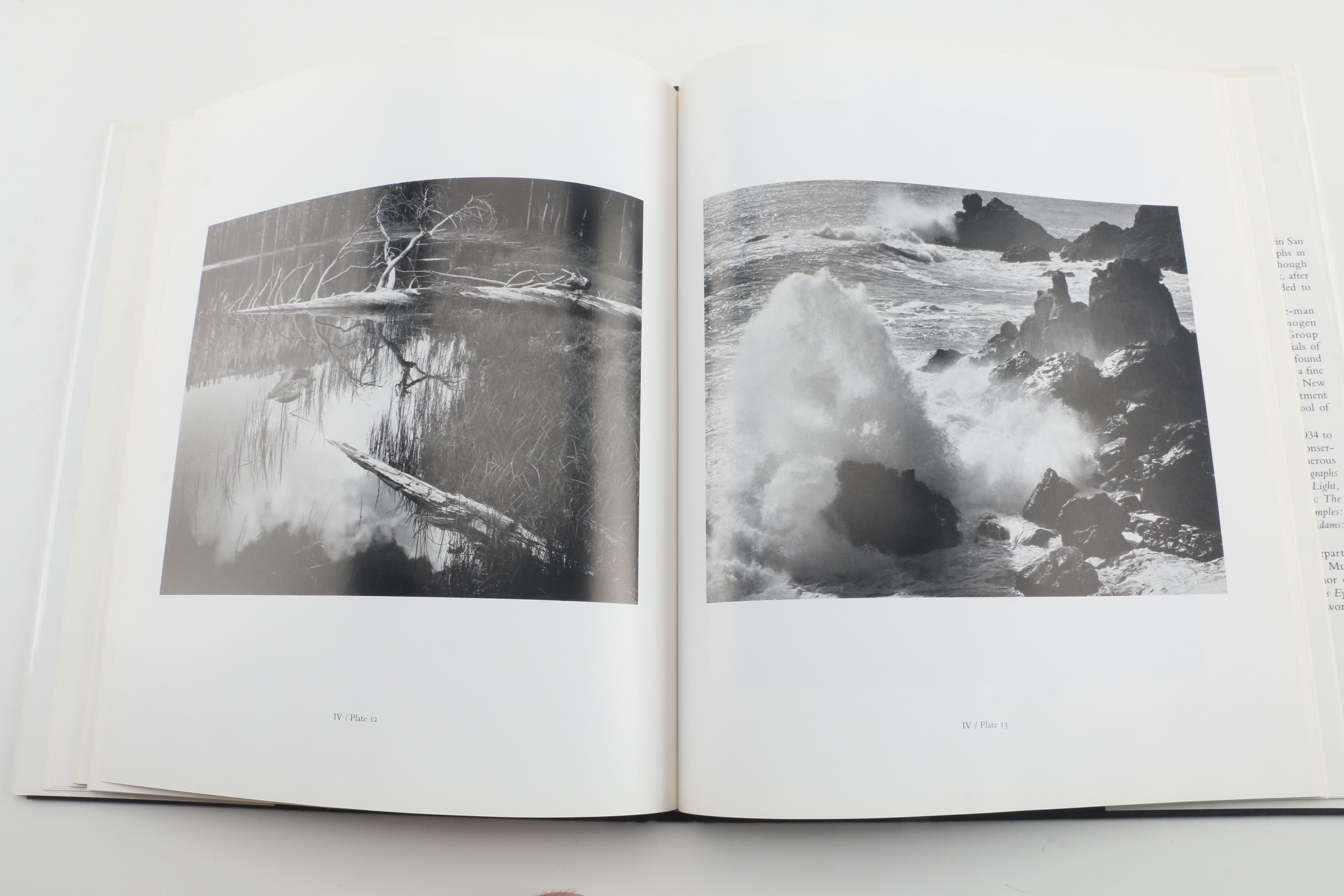 Artist Biographies and Albums featuring Gerhard Richter