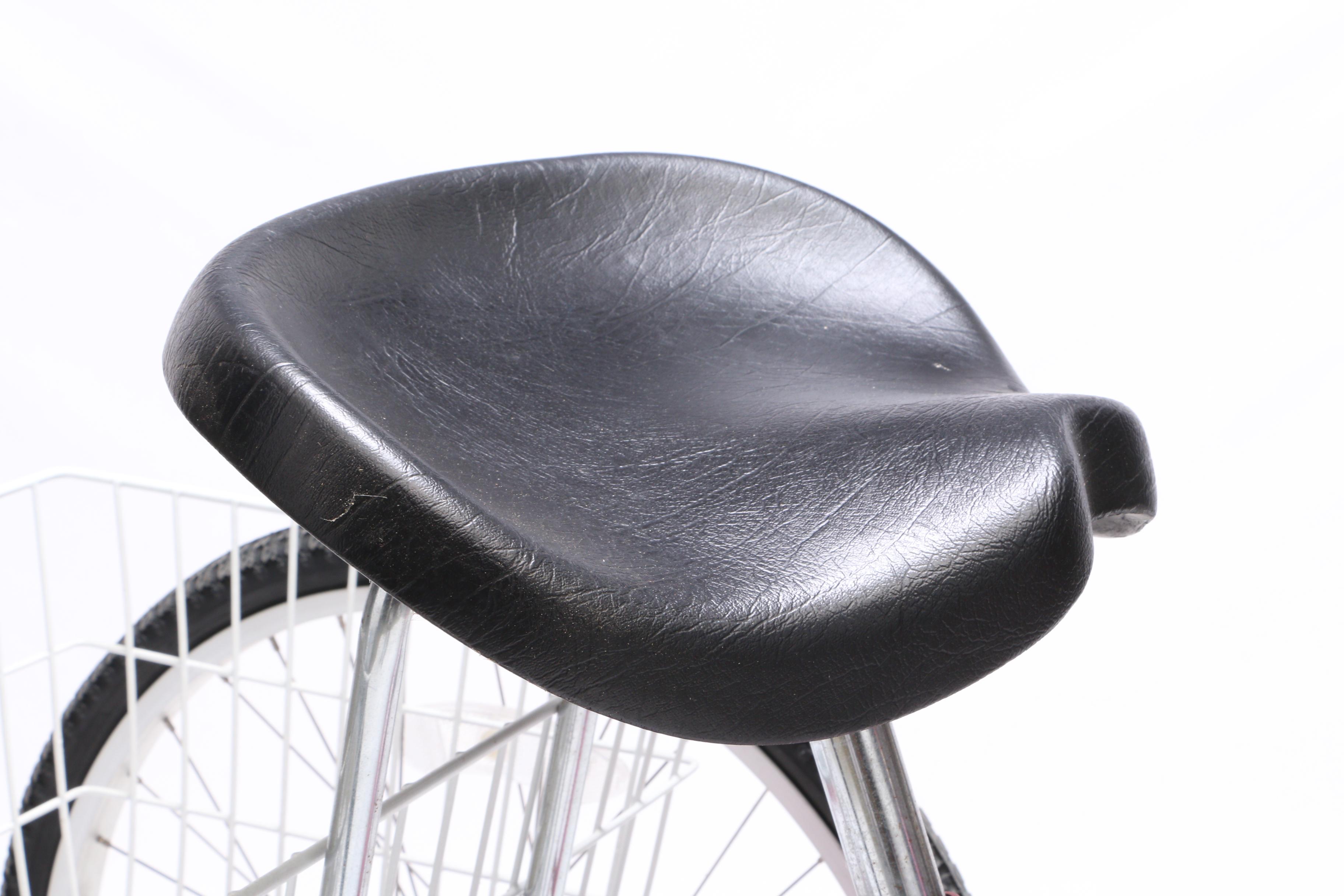 Adult Miami Sun Trike with Basket