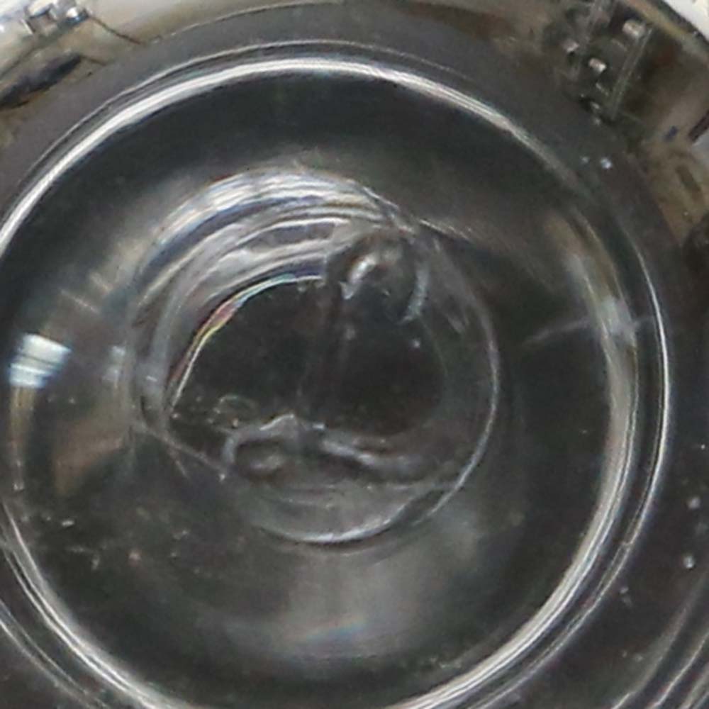 Collection of Libbey White Wine Glasses