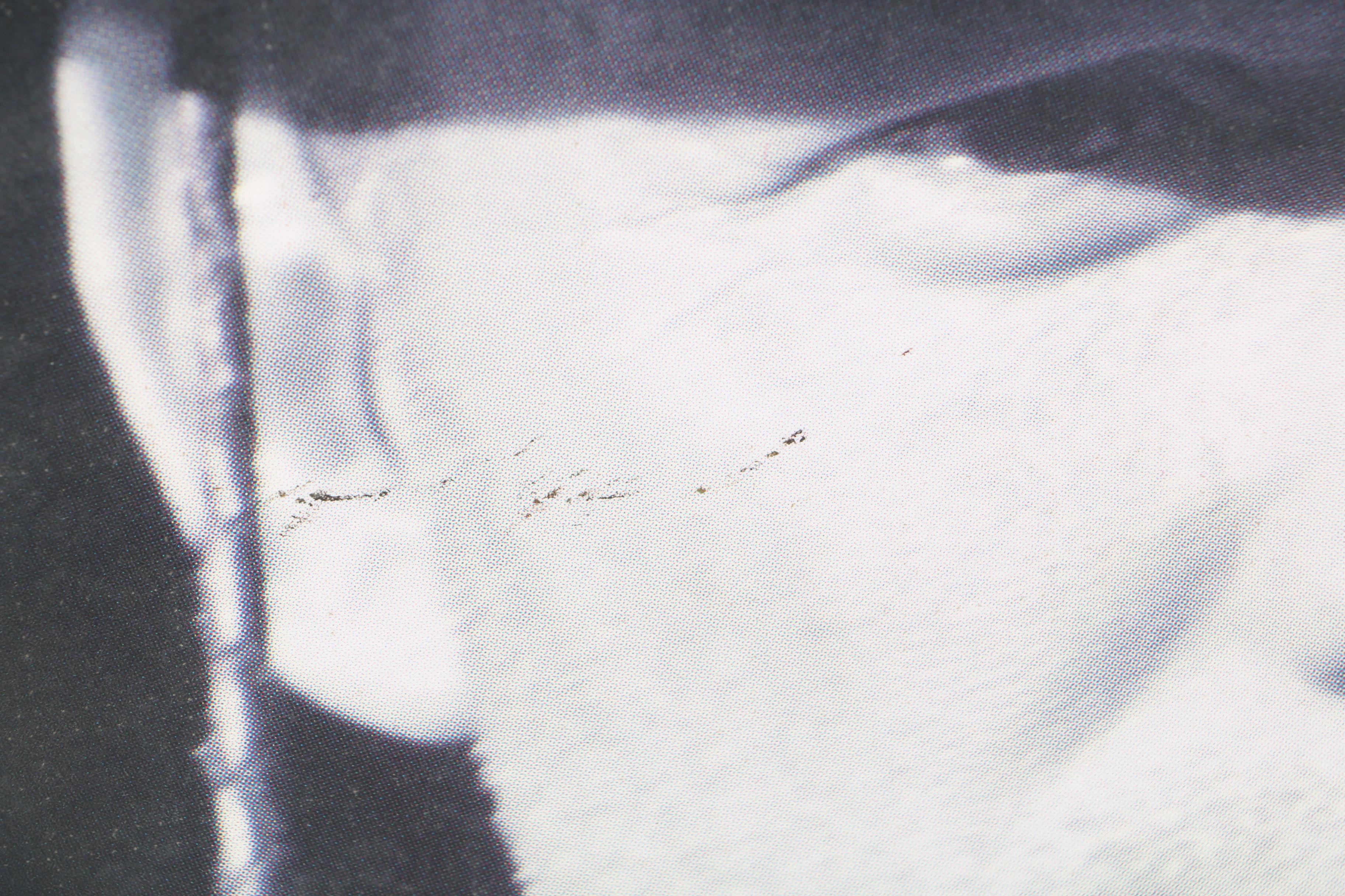 Sting "This Cowboy Song" Single Cover Art Poster