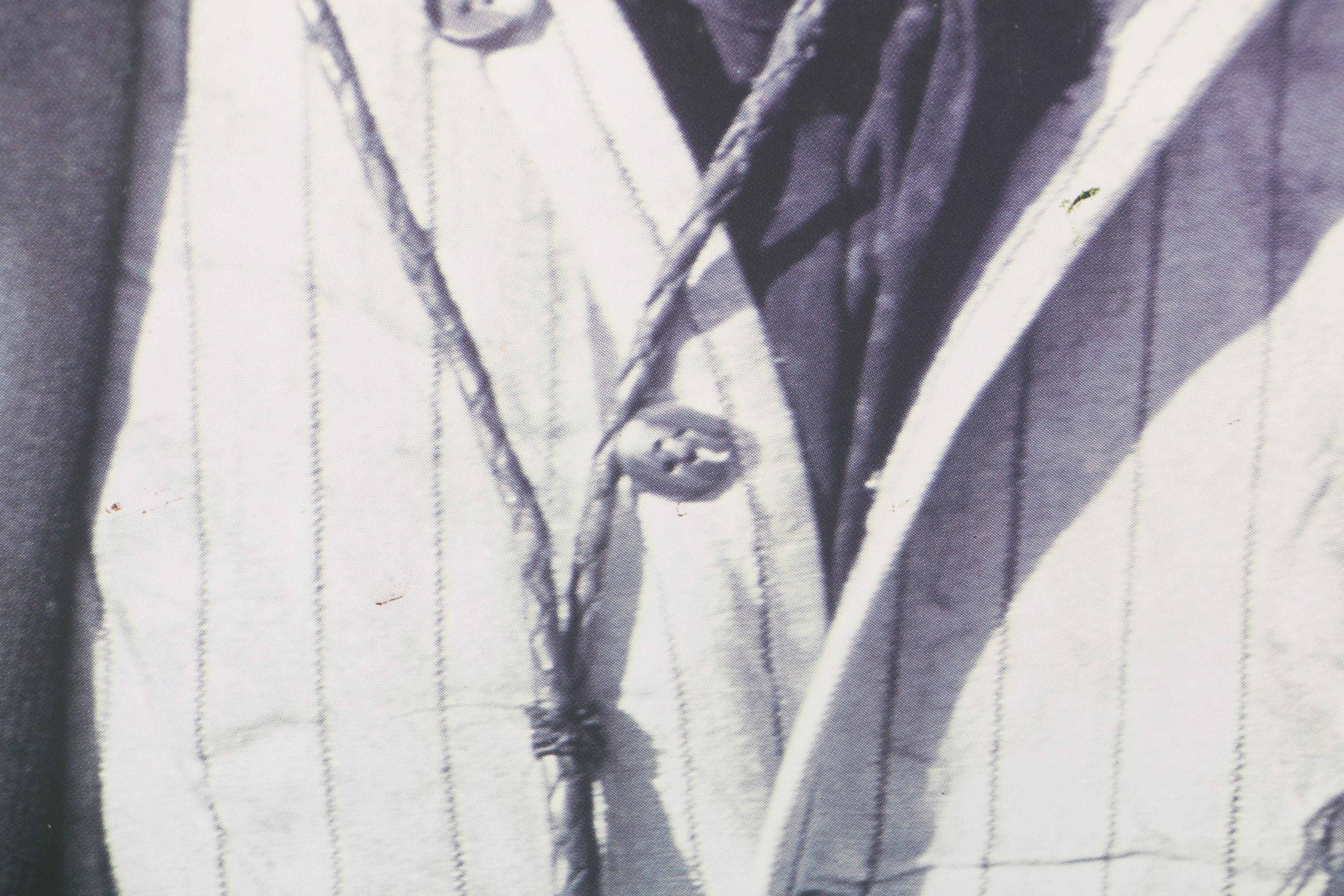 Sting "This Cowboy Song" Single Cover Art Poster