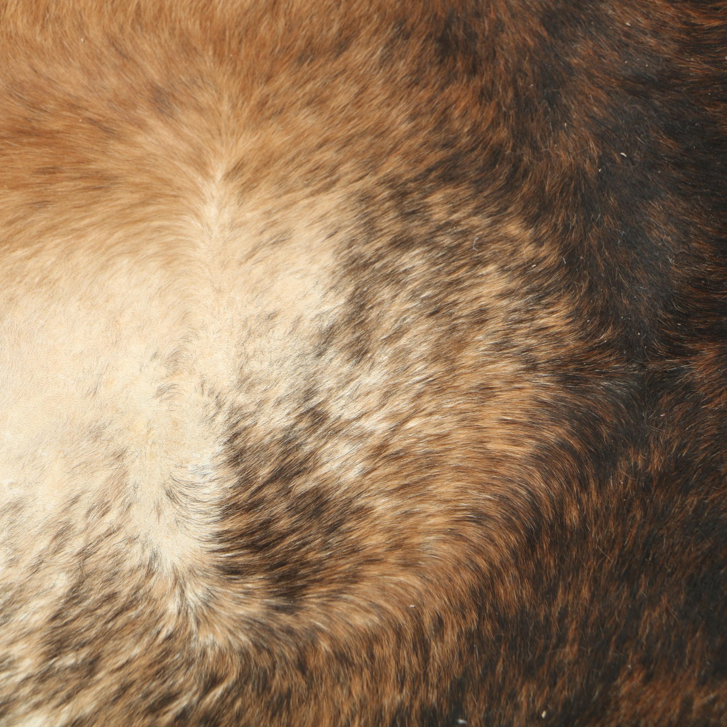 IKEA Argentinian "Koldby" Cowhide Floor Covering