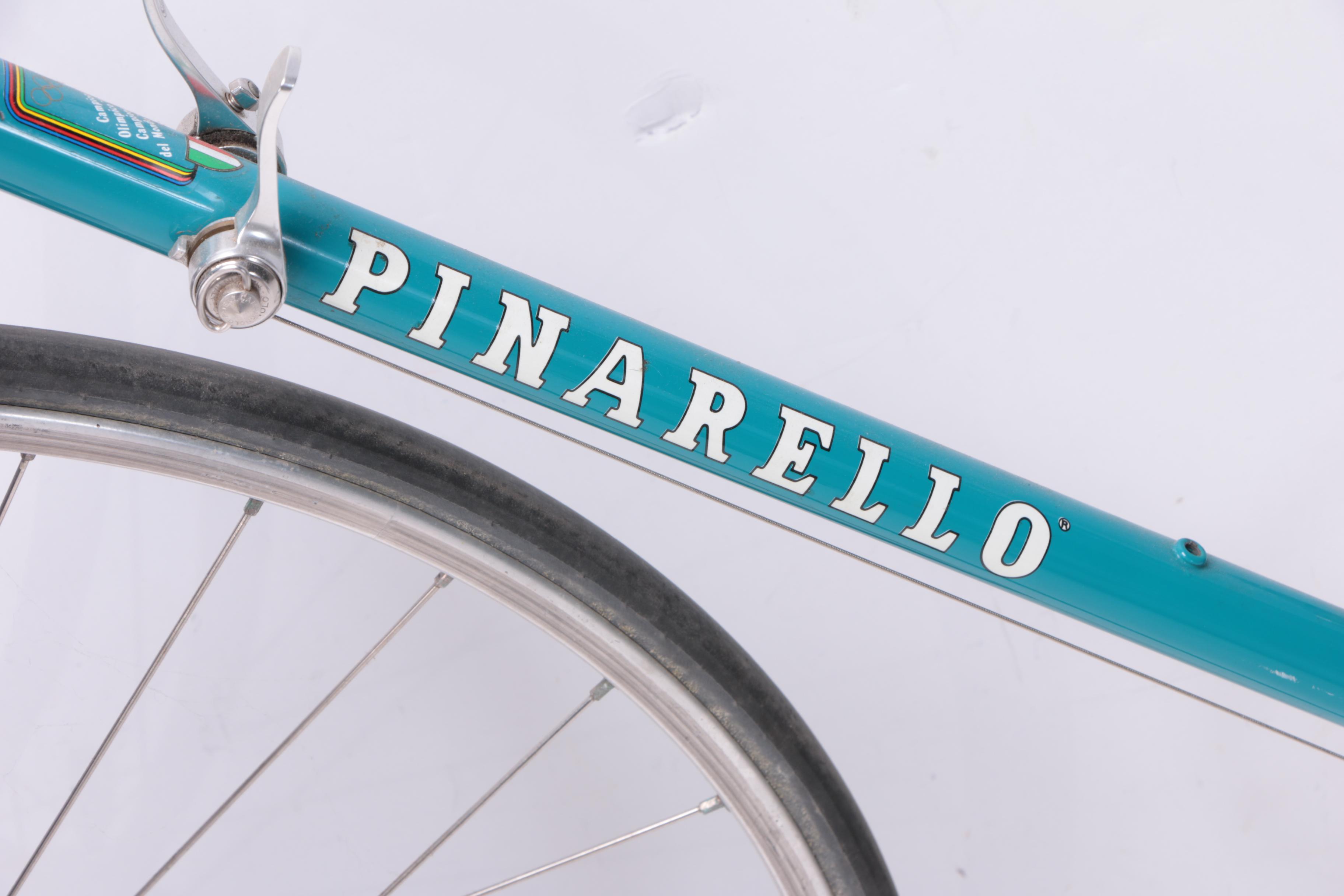 Pinarello Treviso Italia Bicycle and Schwinn Mag Turbo Bike Trainer