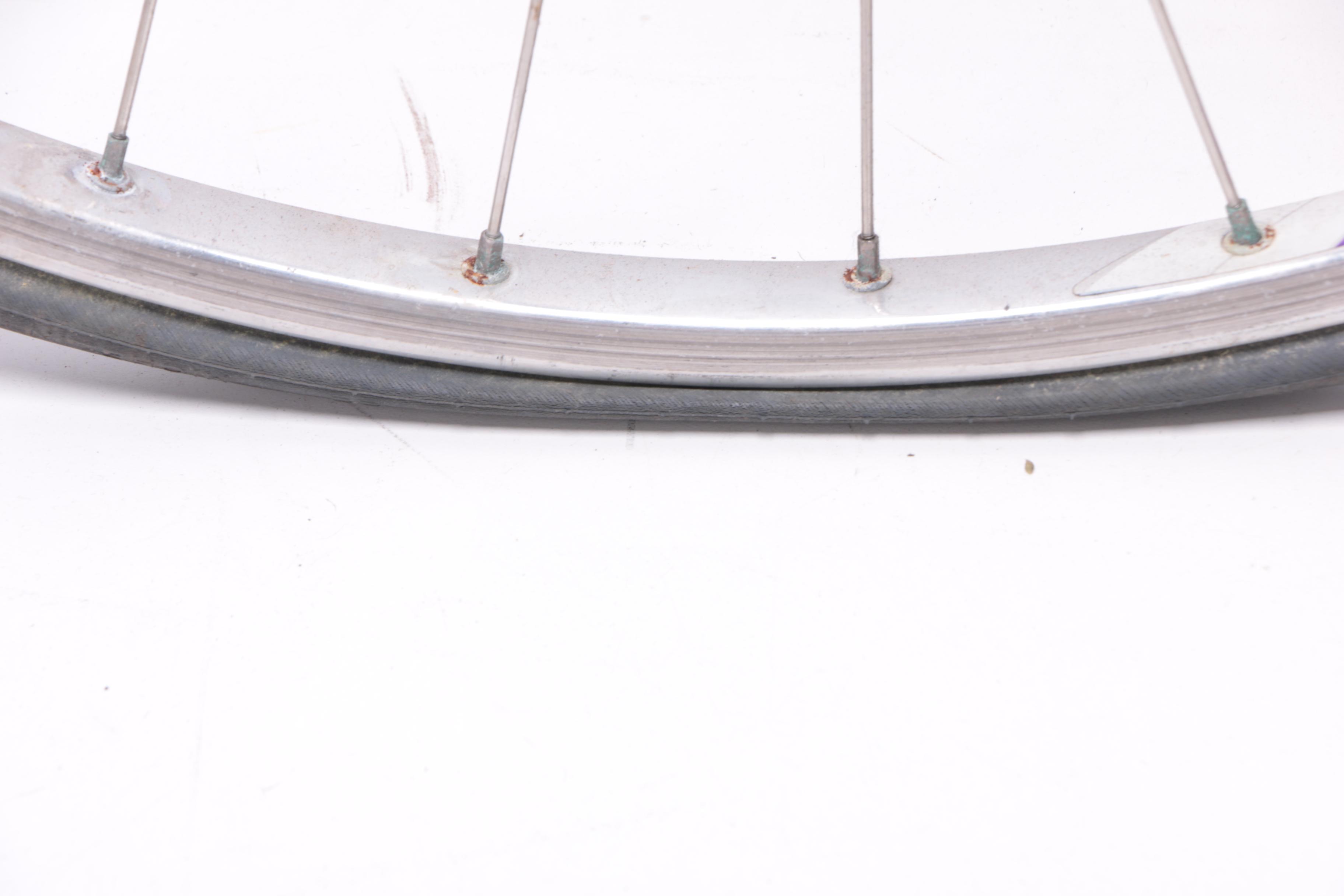 Pinarello Treviso Italia Bicycle and Schwinn Mag Turbo Bike Trainer