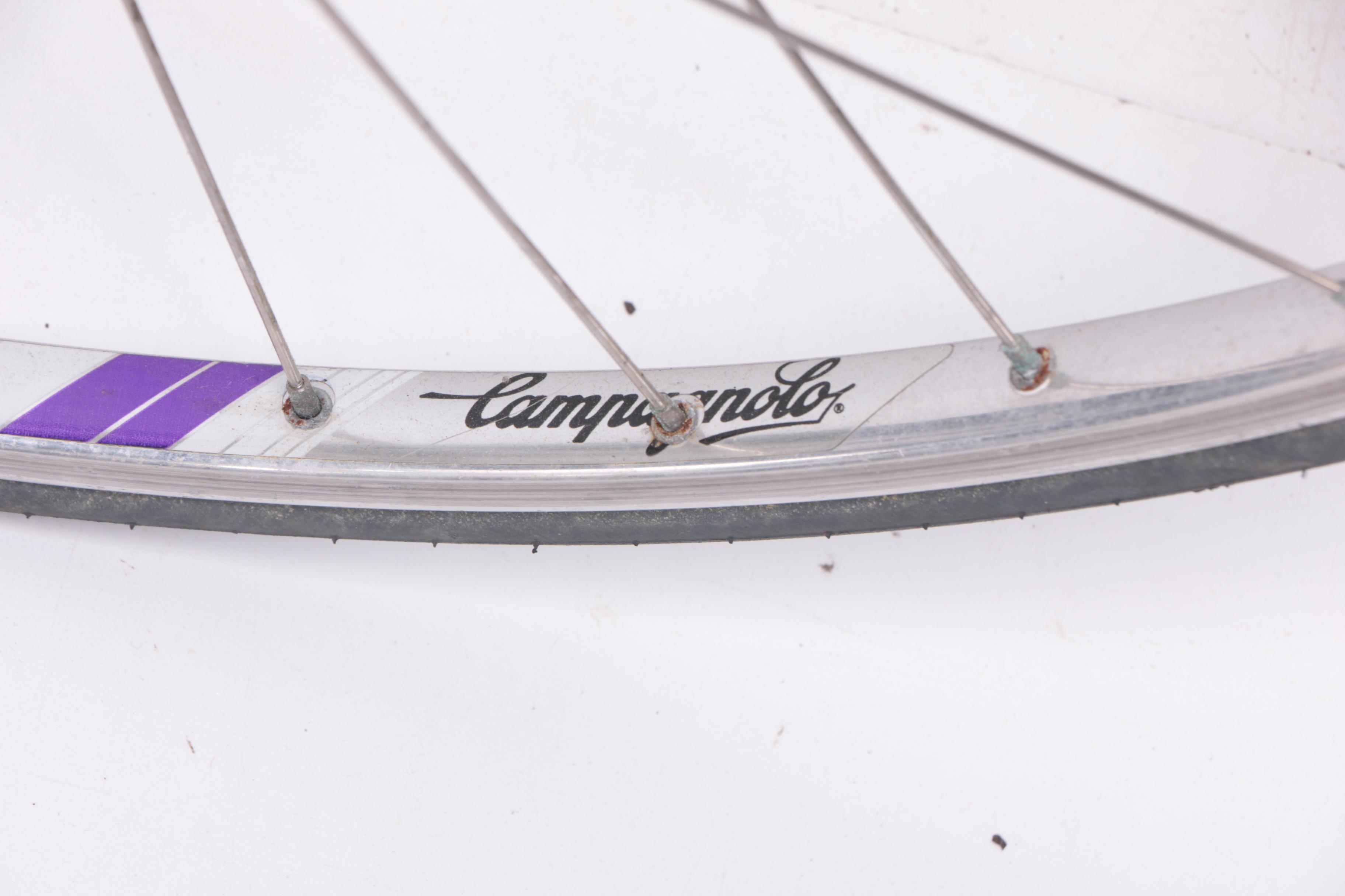 Pinarello Treviso Italia Bicycle and Schwinn Mag Turbo Bike Trainer