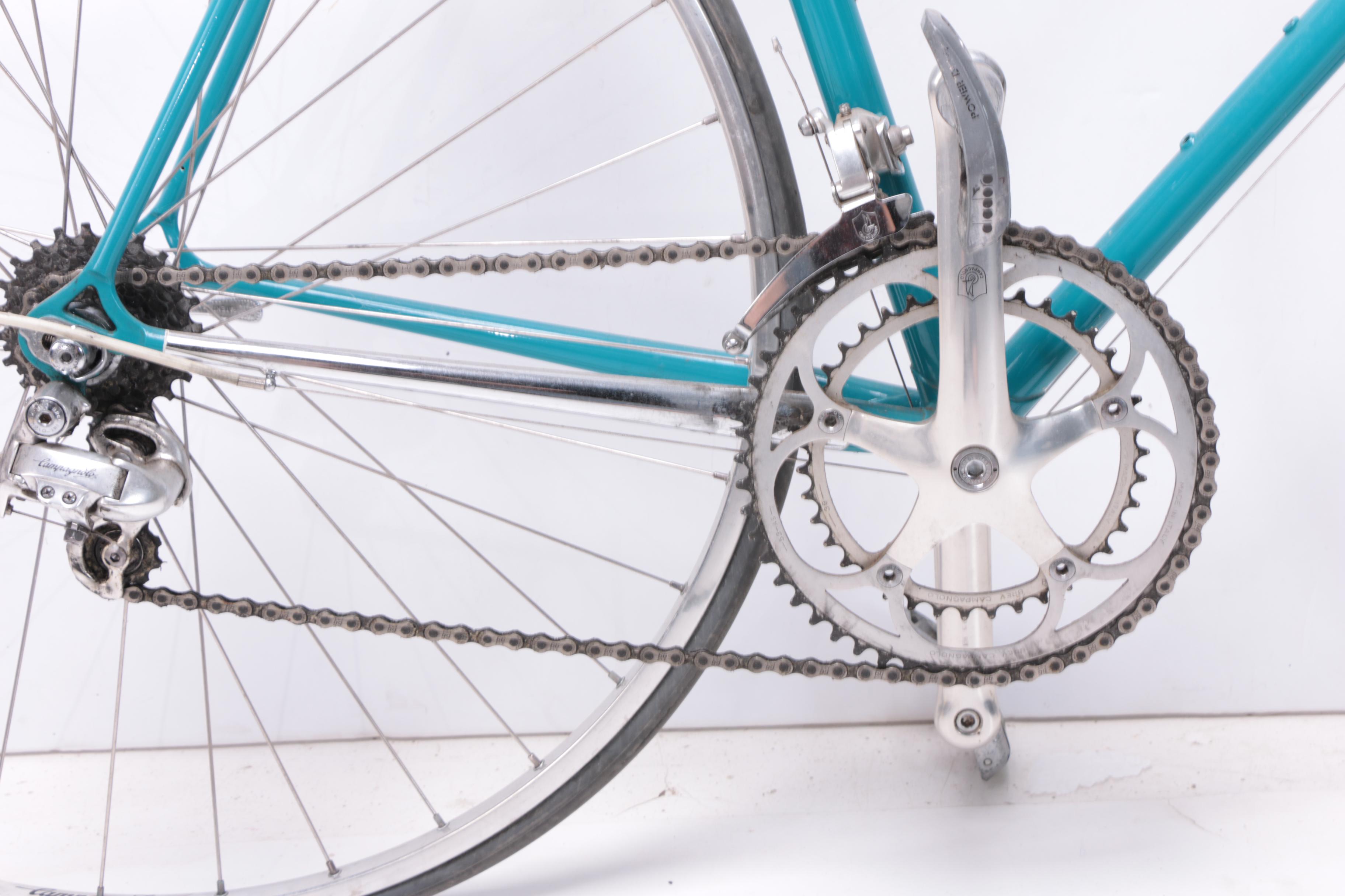 Pinarello Treviso Italia Bicycle and Schwinn Mag Turbo Bike Trainer