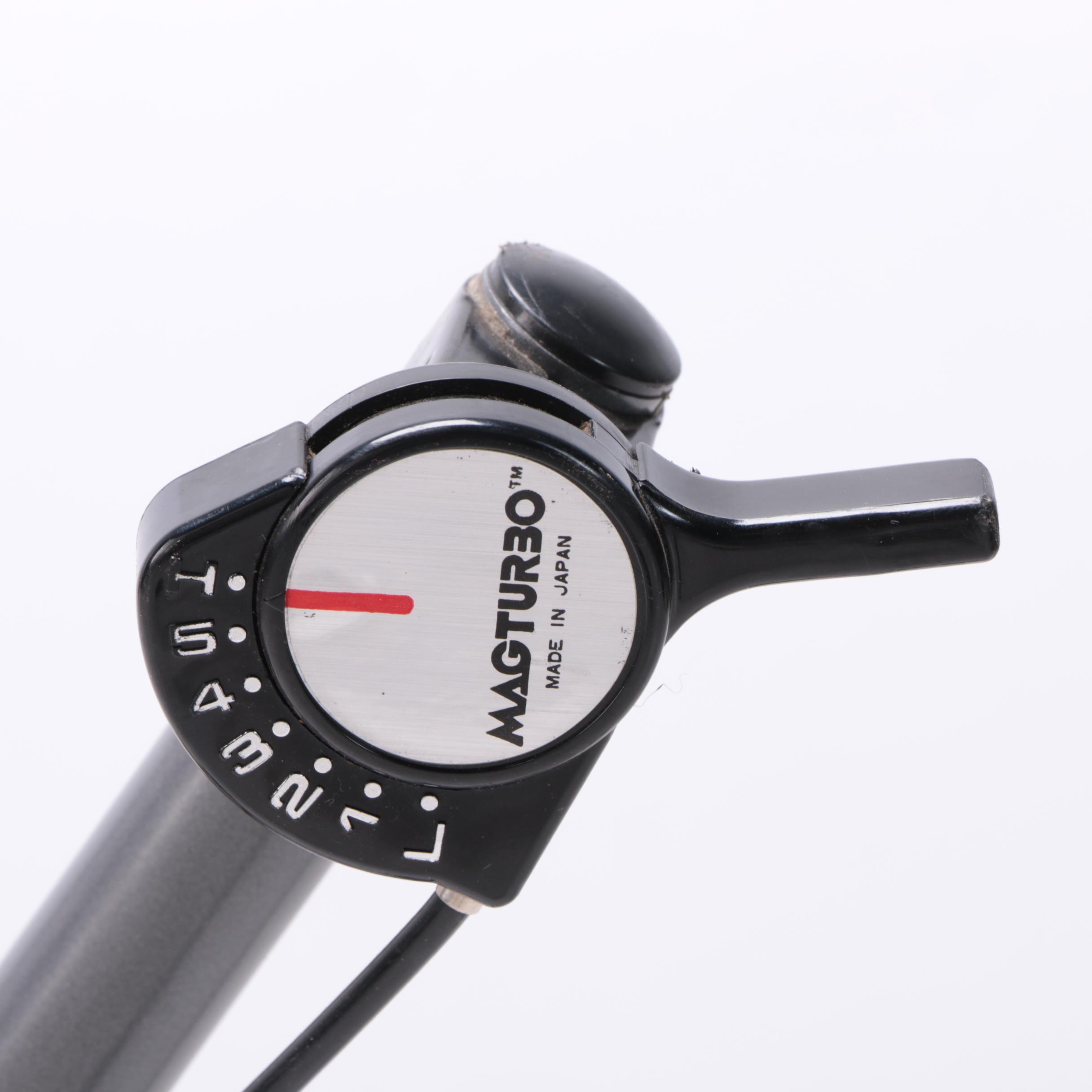 Pinarello Treviso Italia Bicycle and Schwinn Mag Turbo Bike Trainer