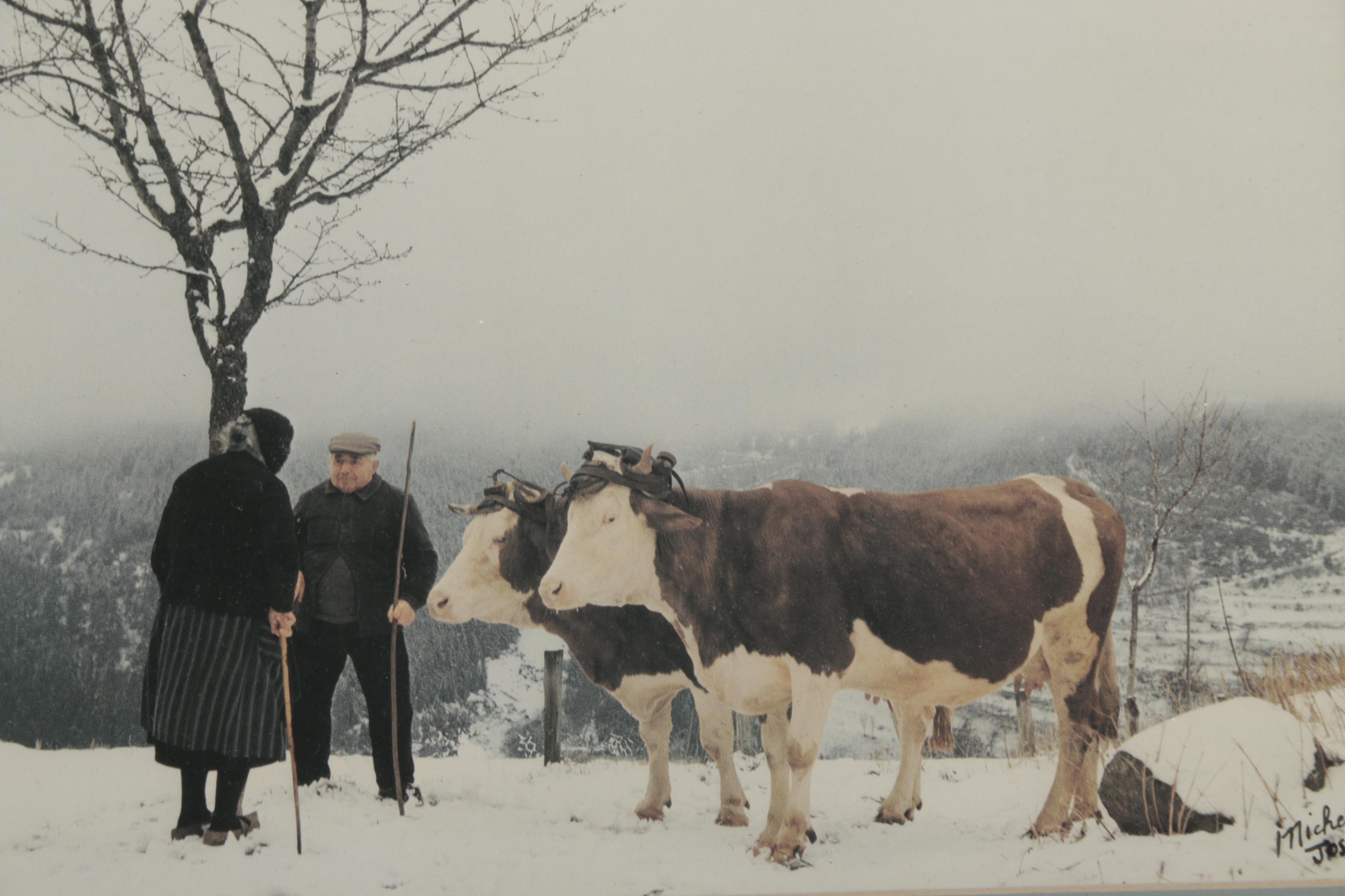 Michael José Chromogenic Photographic Print