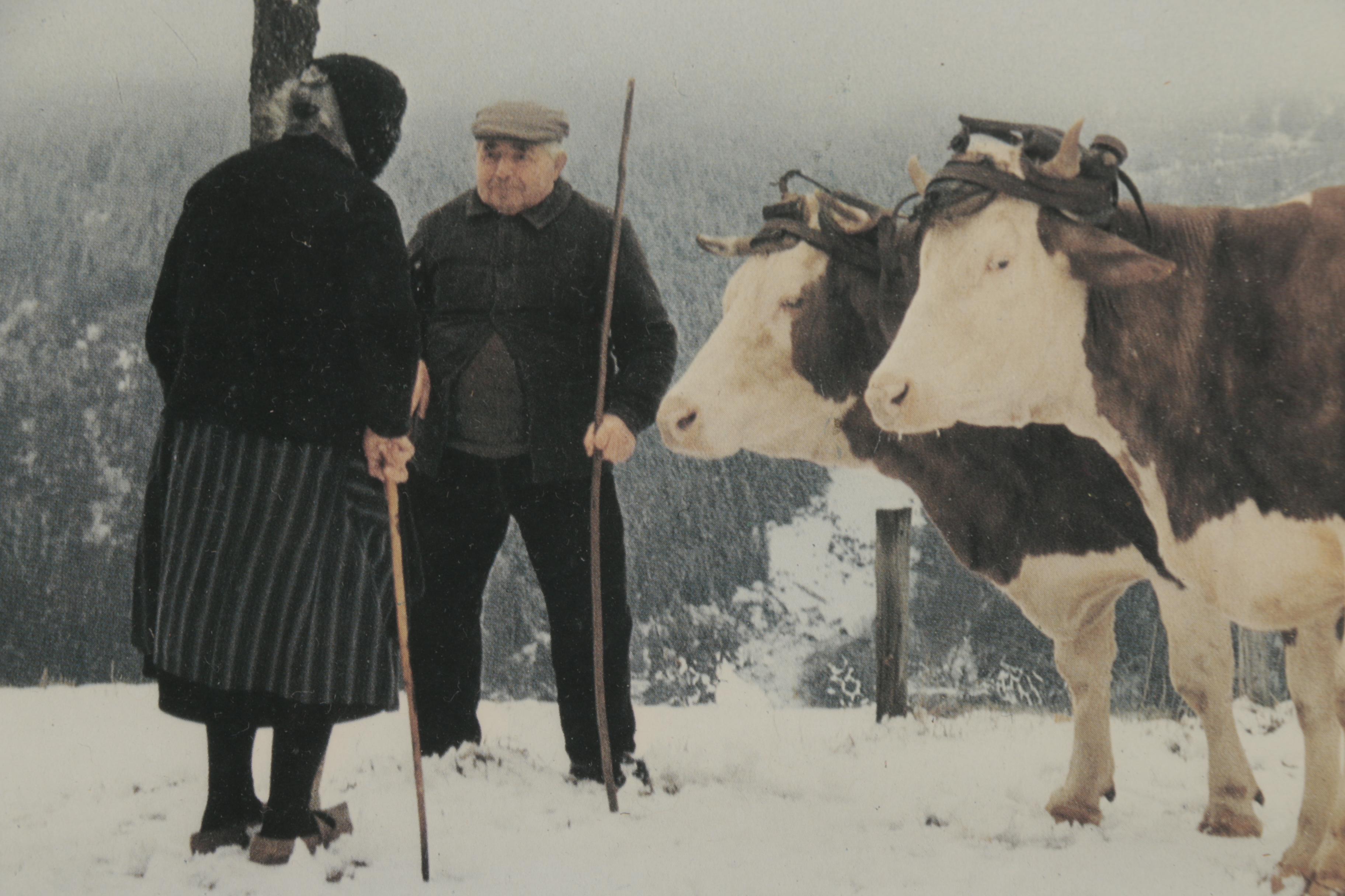 Michael José Chromogenic Photographic Print