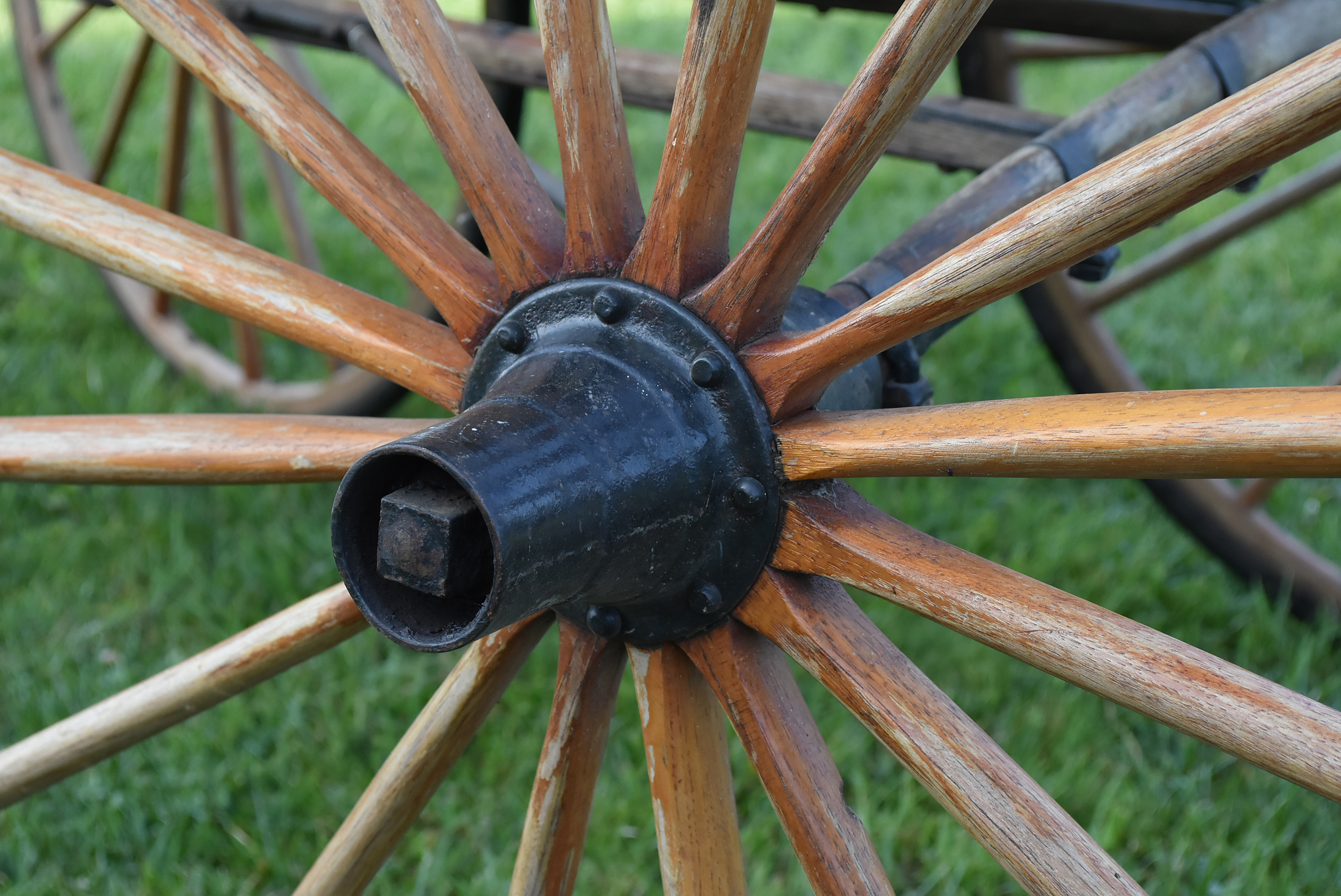 Late 19th Century Natural Oak And  Black Horse Drawn Buggy