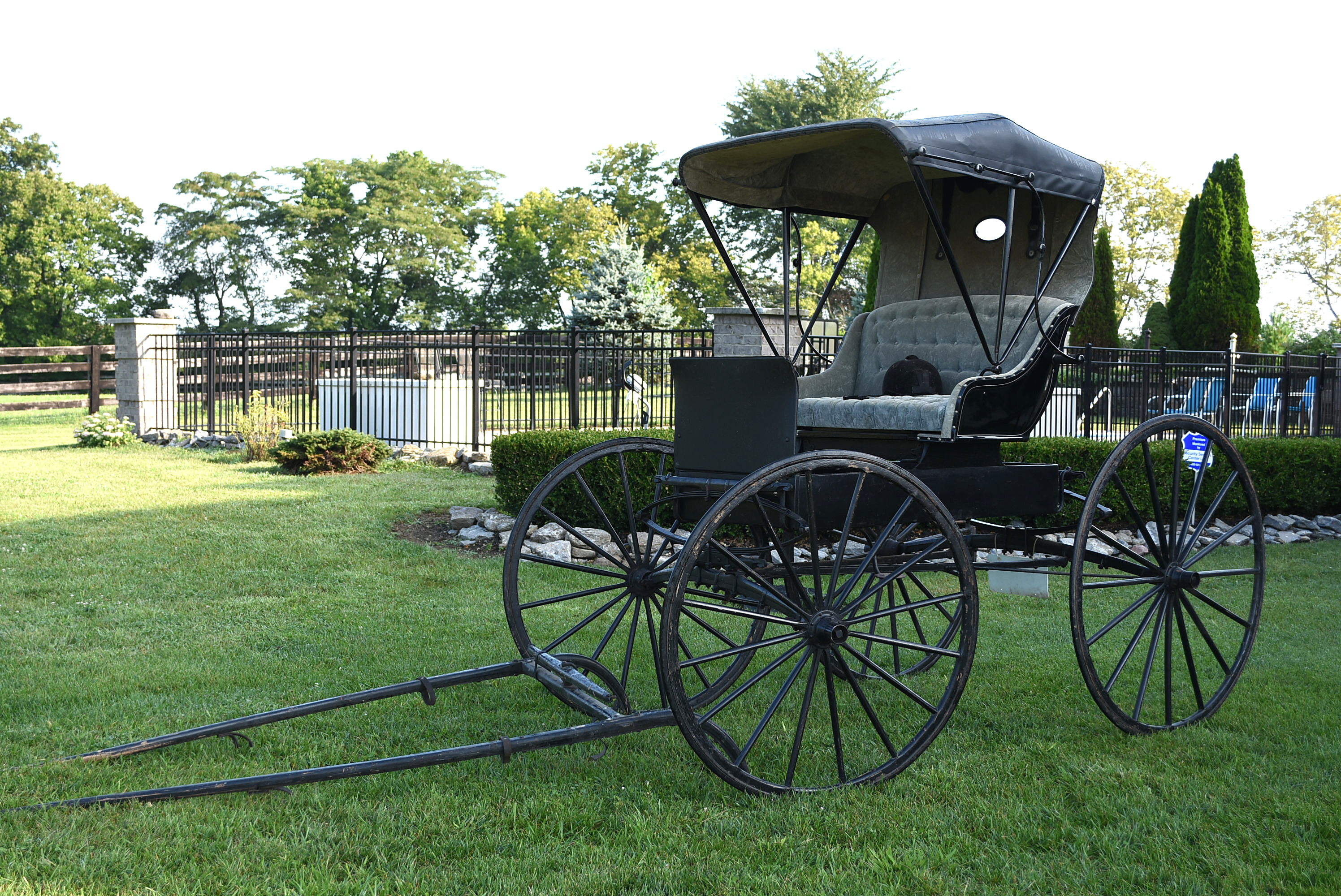 Early 20th Century JK Lingo Hardware, Lebanon Ohio, Horse Drawn Buggy