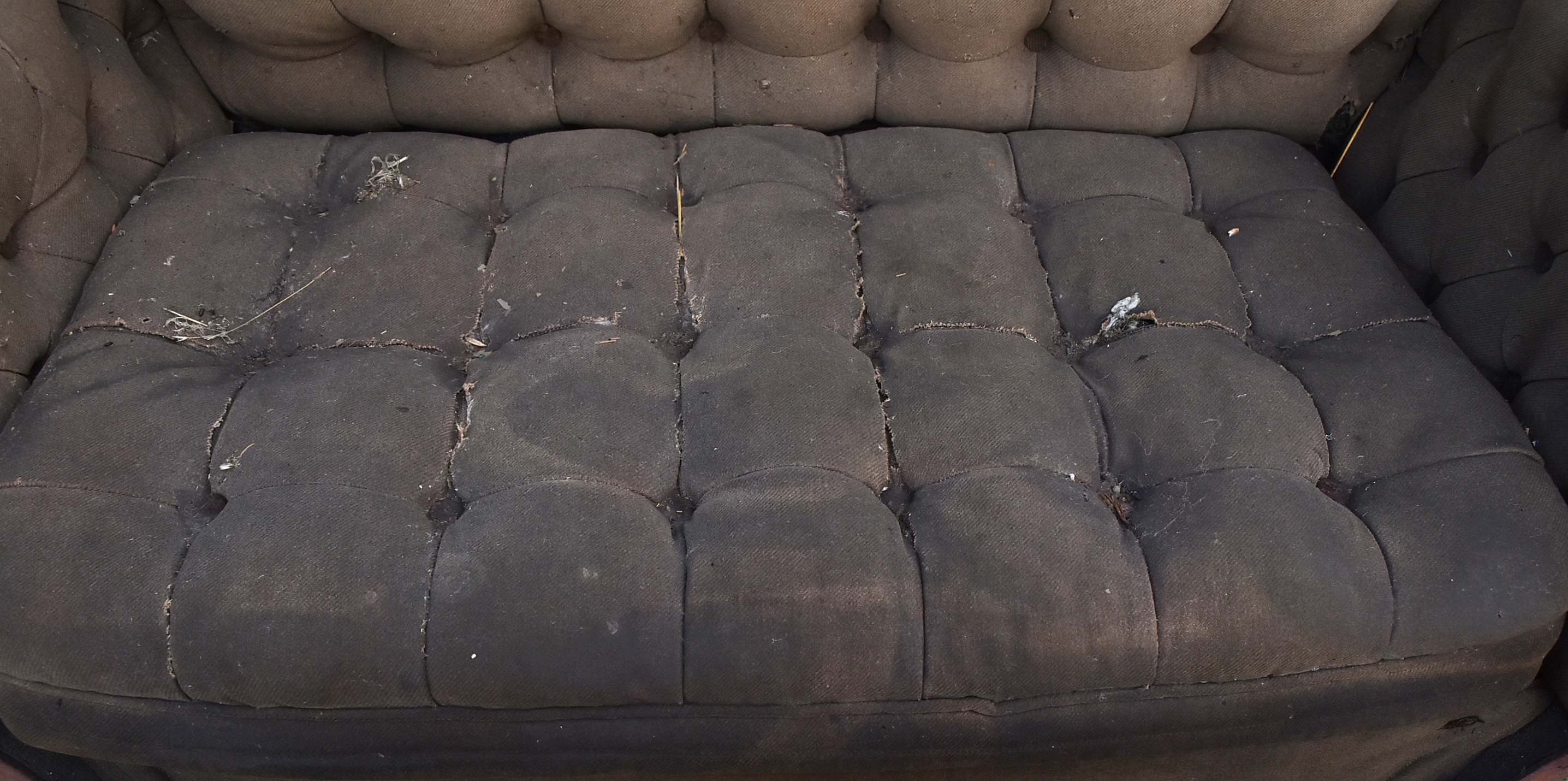 Late 19th Century Horse Drawn Buggy Glen Falls Buckboard Surrey For Restoration