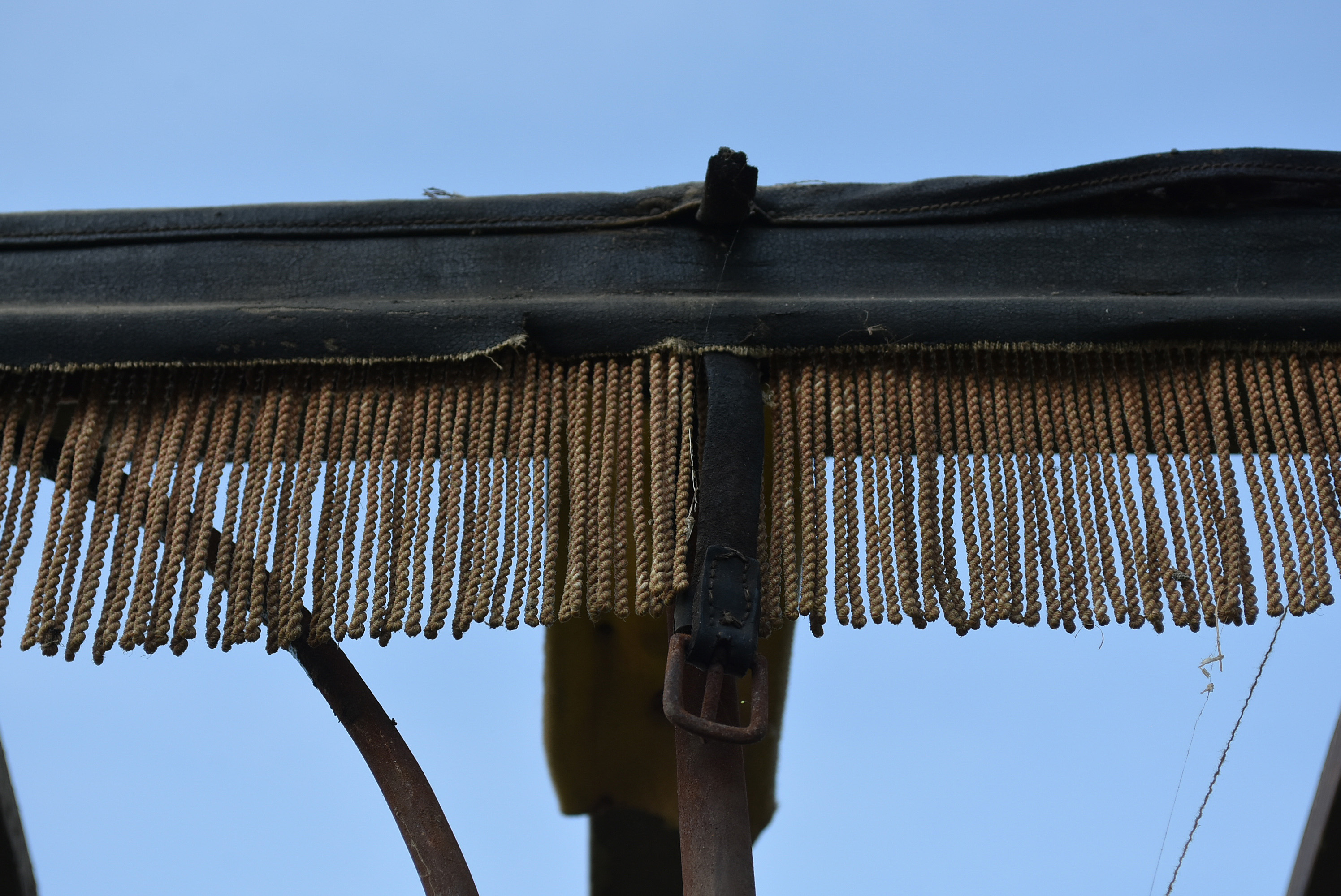 Late 19th Century Horse Drawn Buggy Glen Falls Buckboard Surrey For Restoration