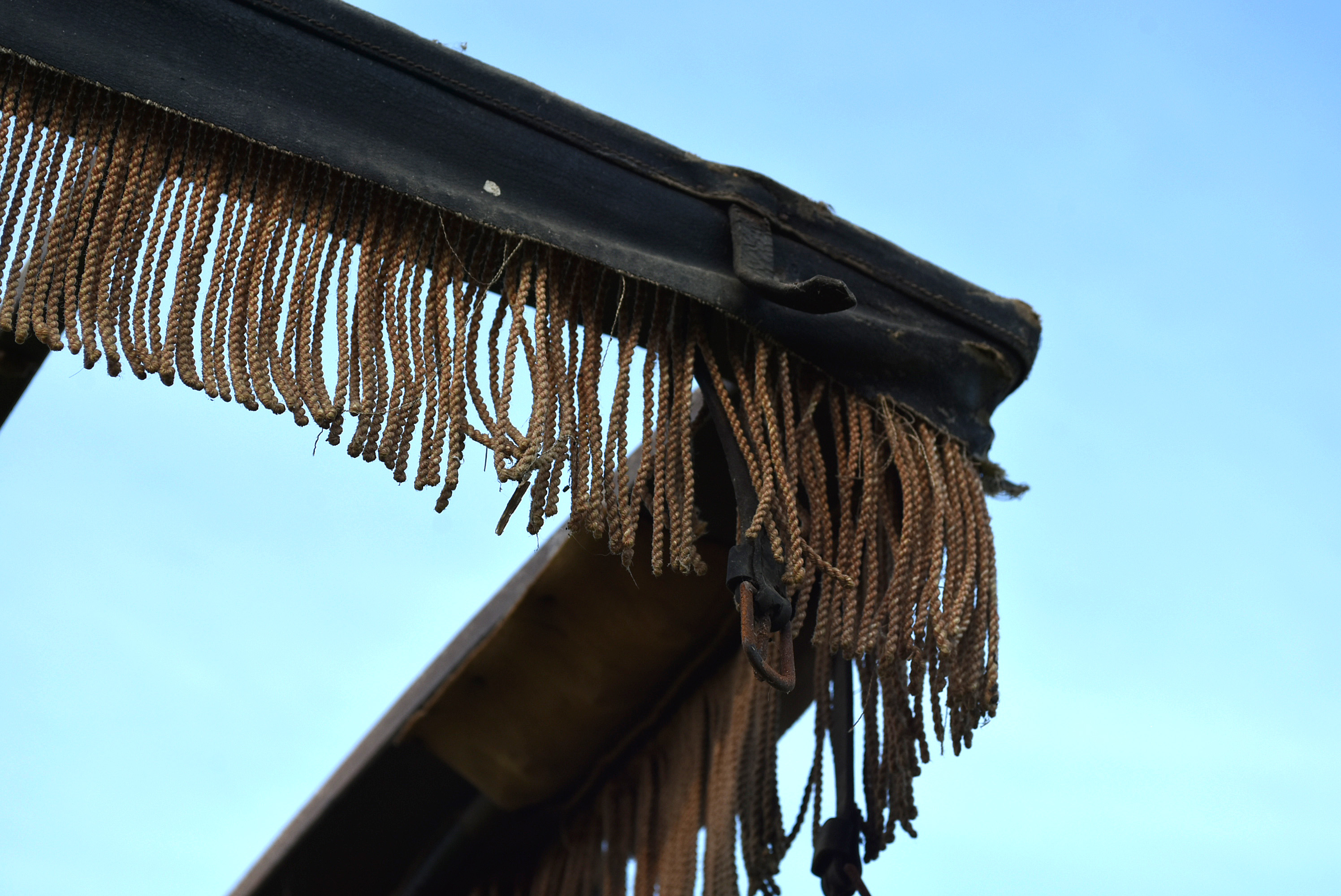 Late 19th Century Horse Drawn Buggy Glen Falls Buckboard Surrey For Restoration