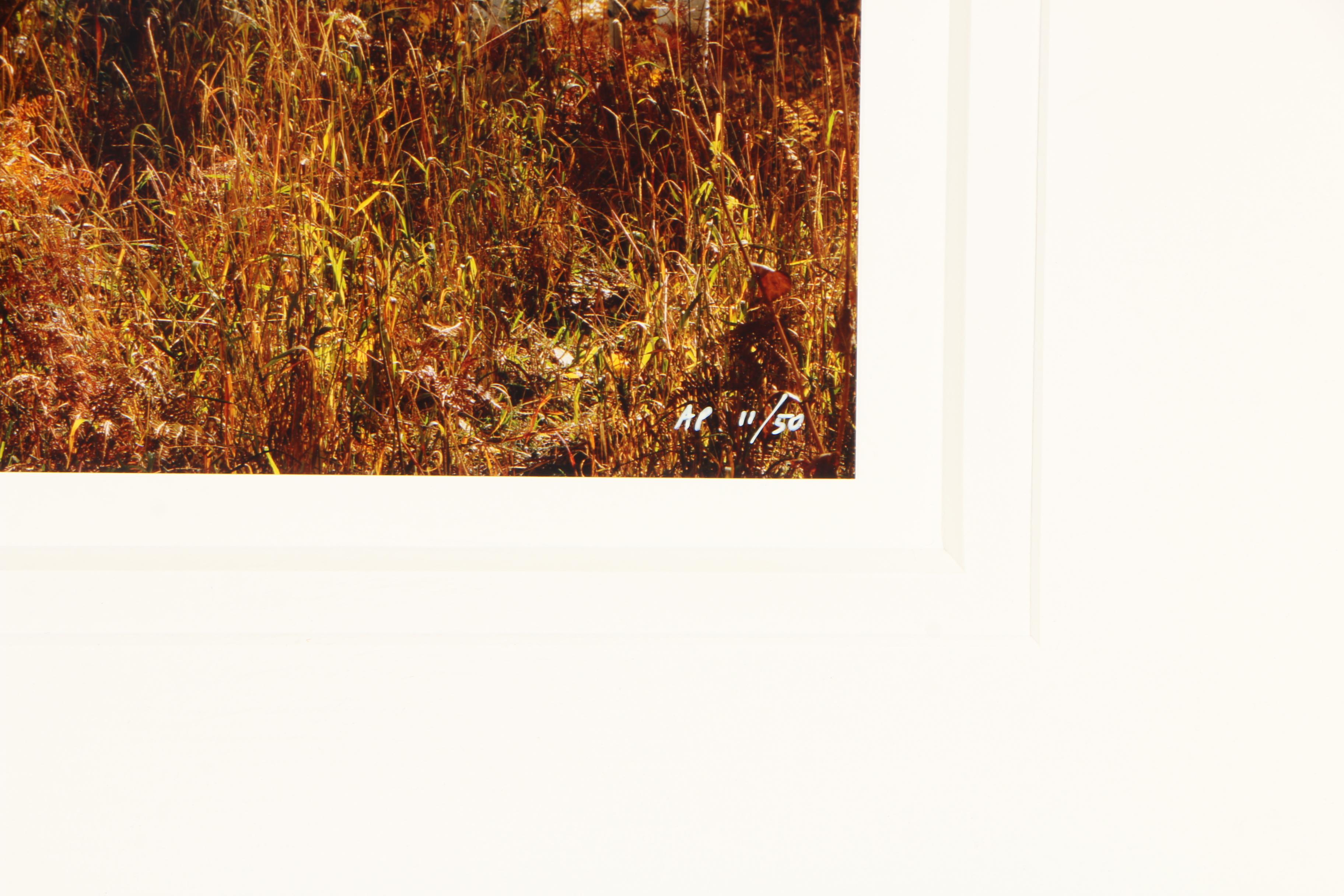 Rodney Lough Jr. Color Photograph "The Glory of God's Light"