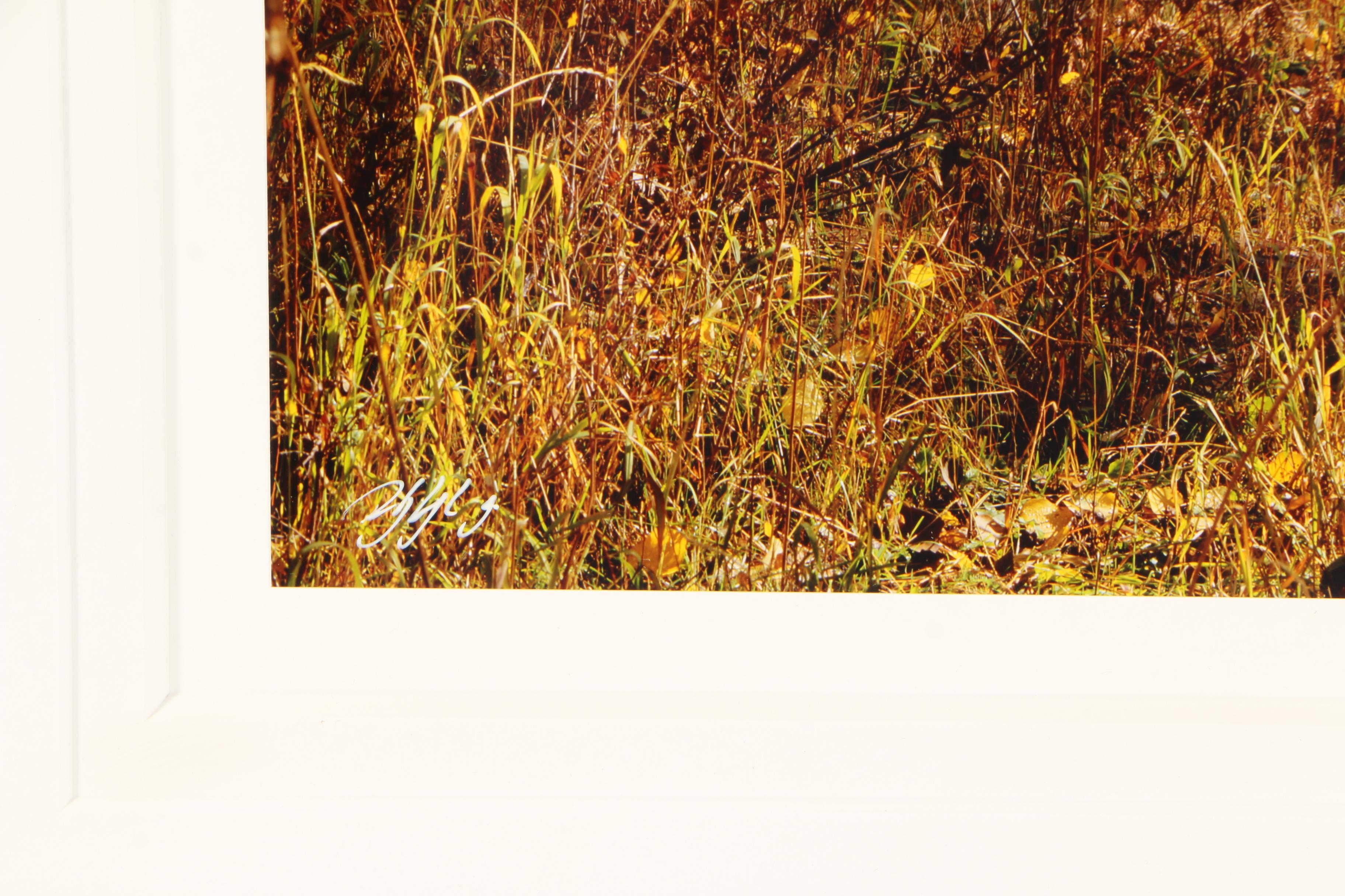 Rodney Lough Jr. Color Photograph "The Glory of God's Light"