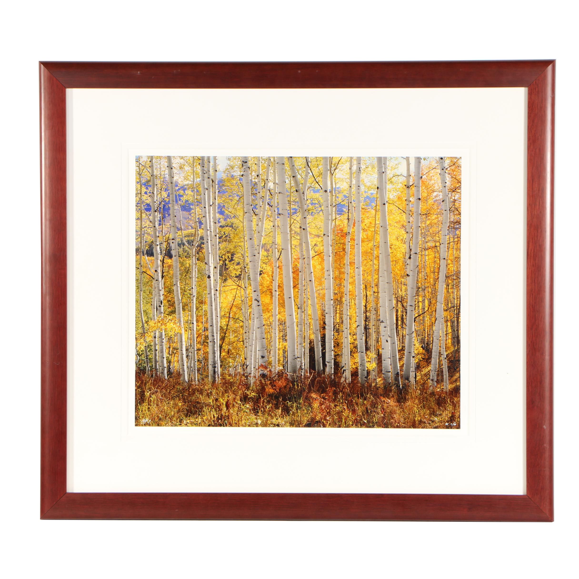 Rodney Lough Jr. Color Photograph "The Glory of God's Light"