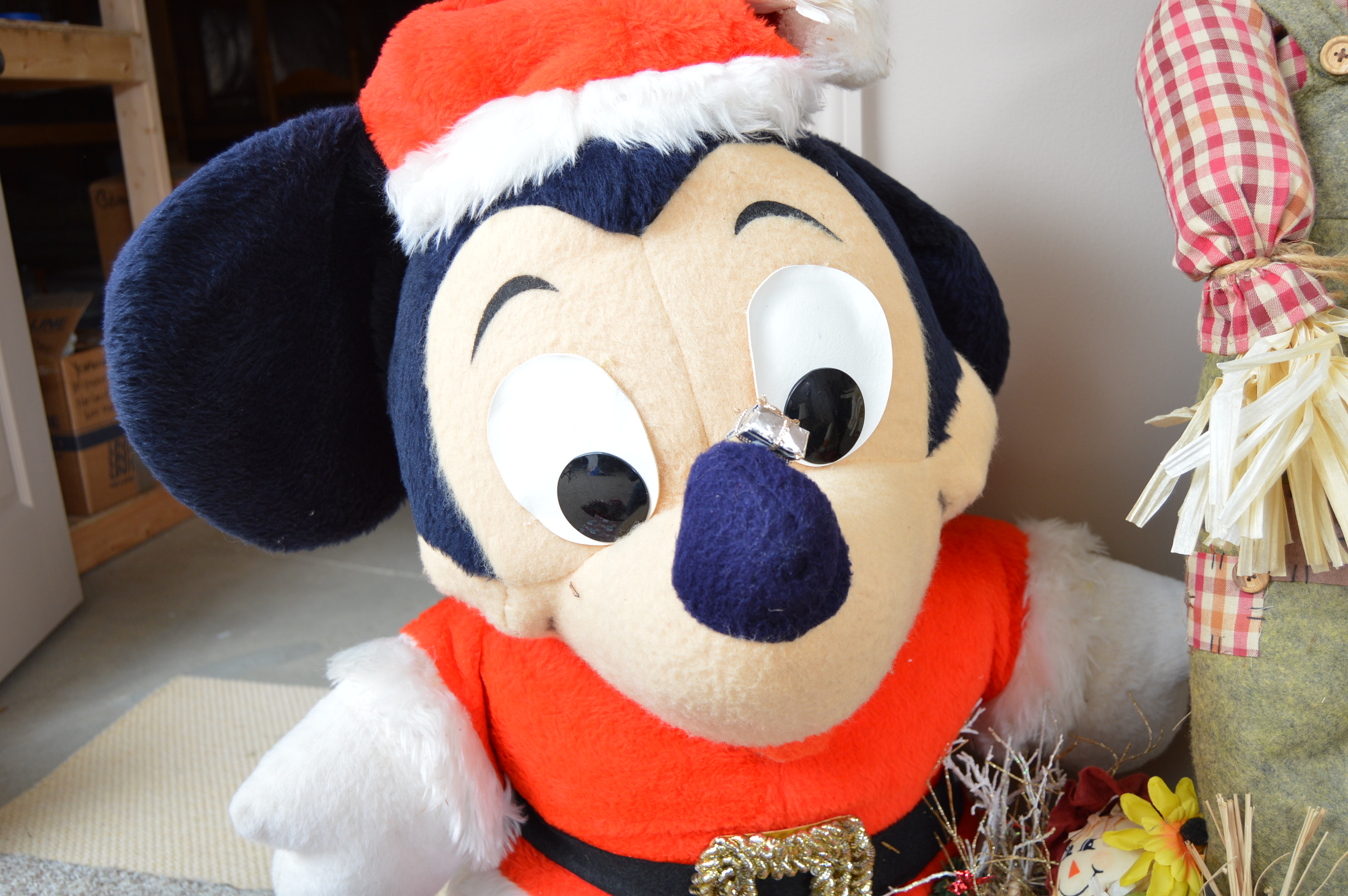 Holiday and Seasonal Decor with Disney