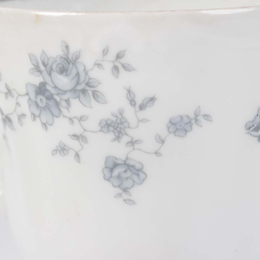 Johann Haviland "Blue Garland" Porcelain Dinnerware