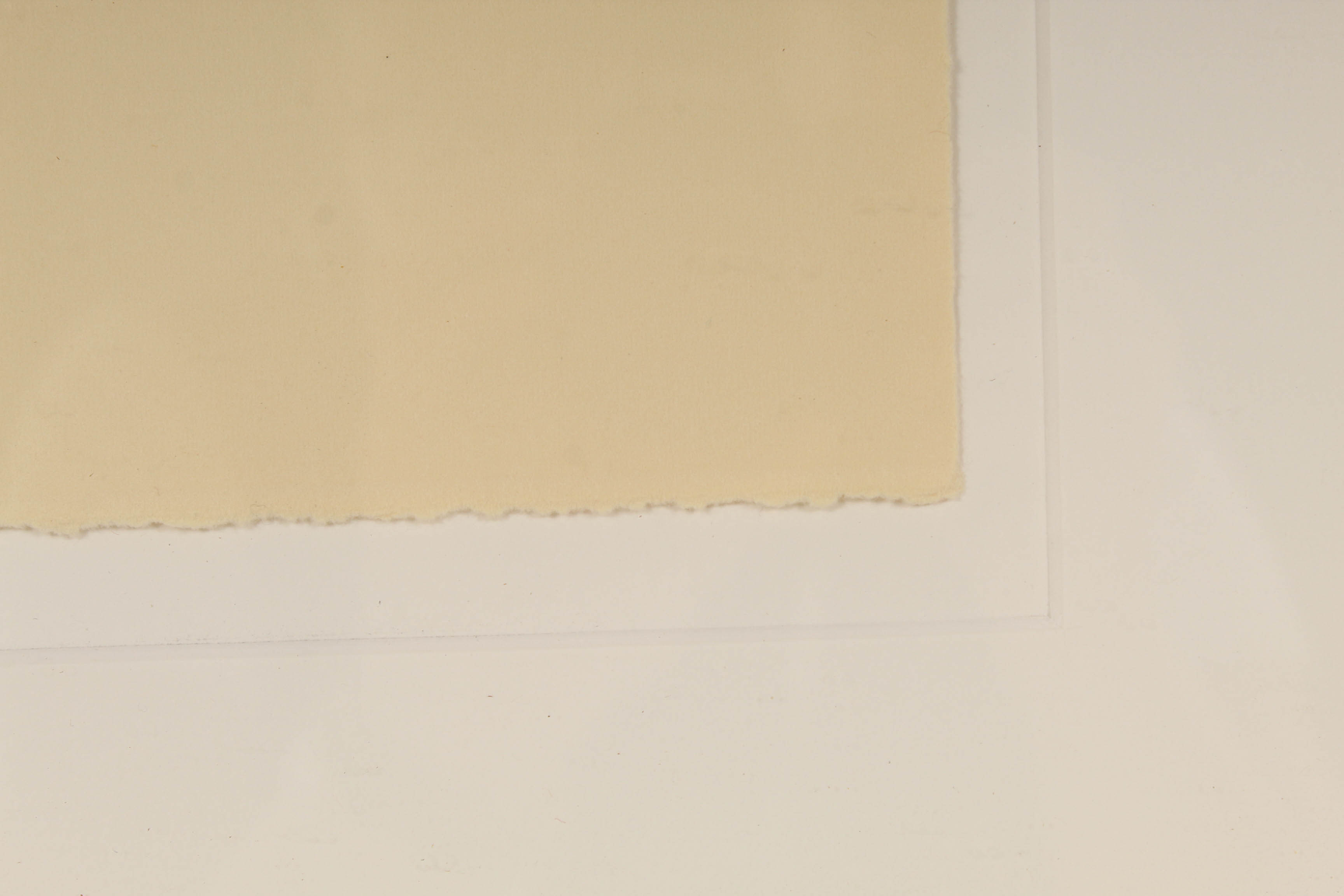 Jill Chambers "Inclusion" Serigraph