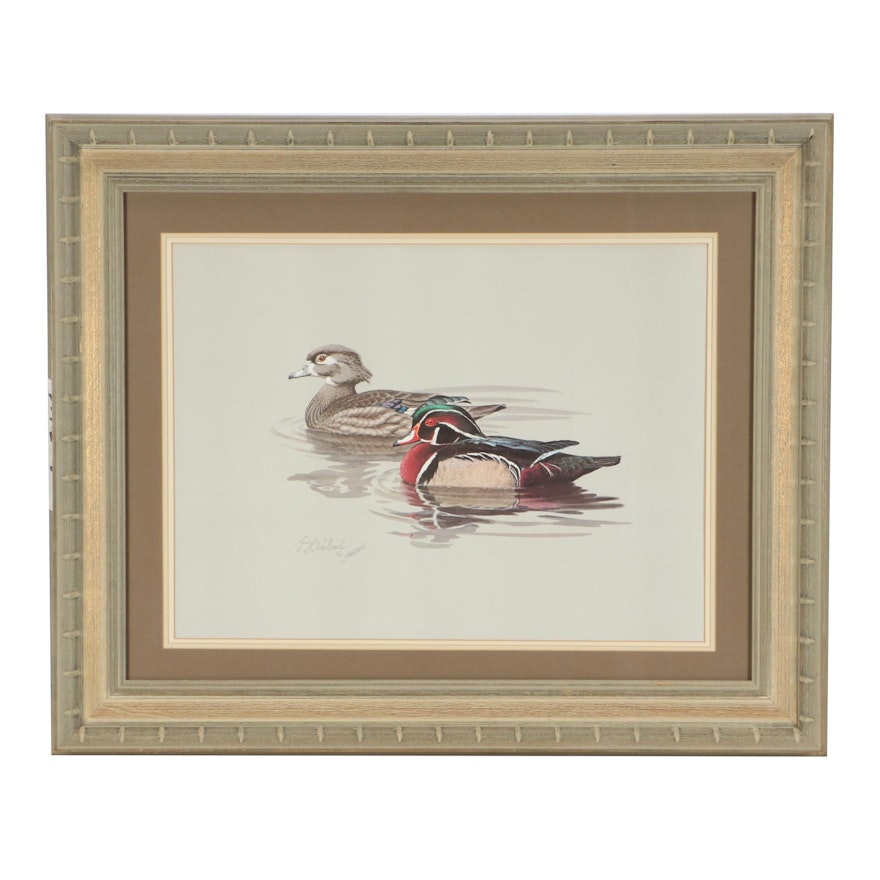 Guy Coleheach Offset Lithograph Print of Wood Ducks