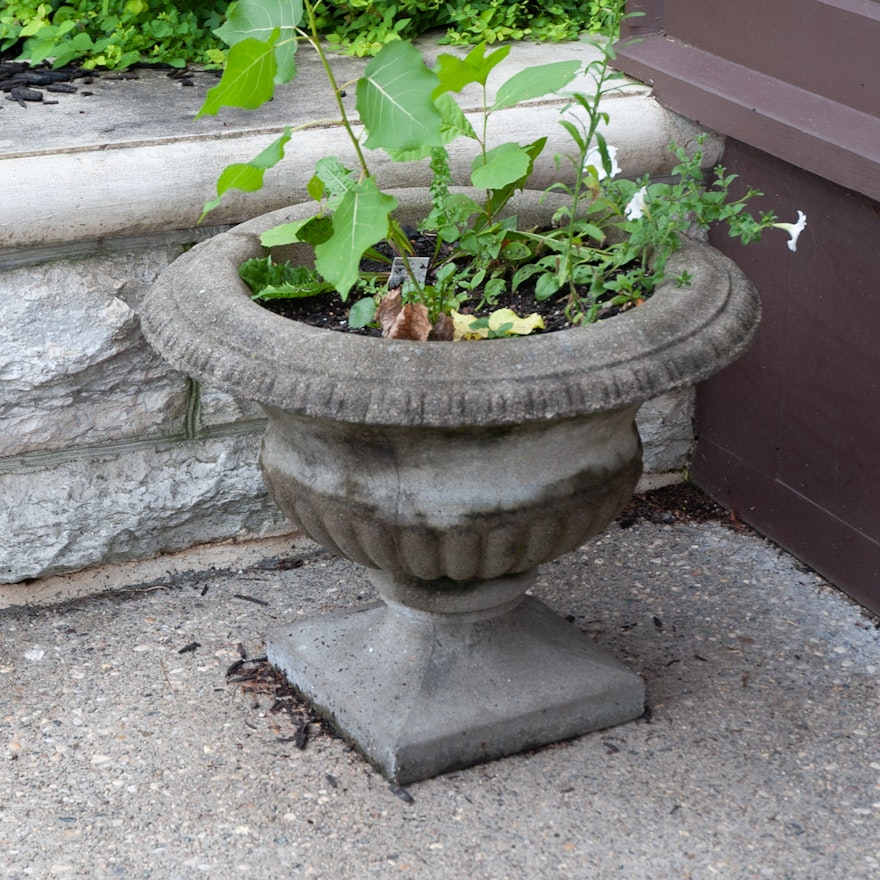 Pairing of Classical Style Outdoor Concrete Planters