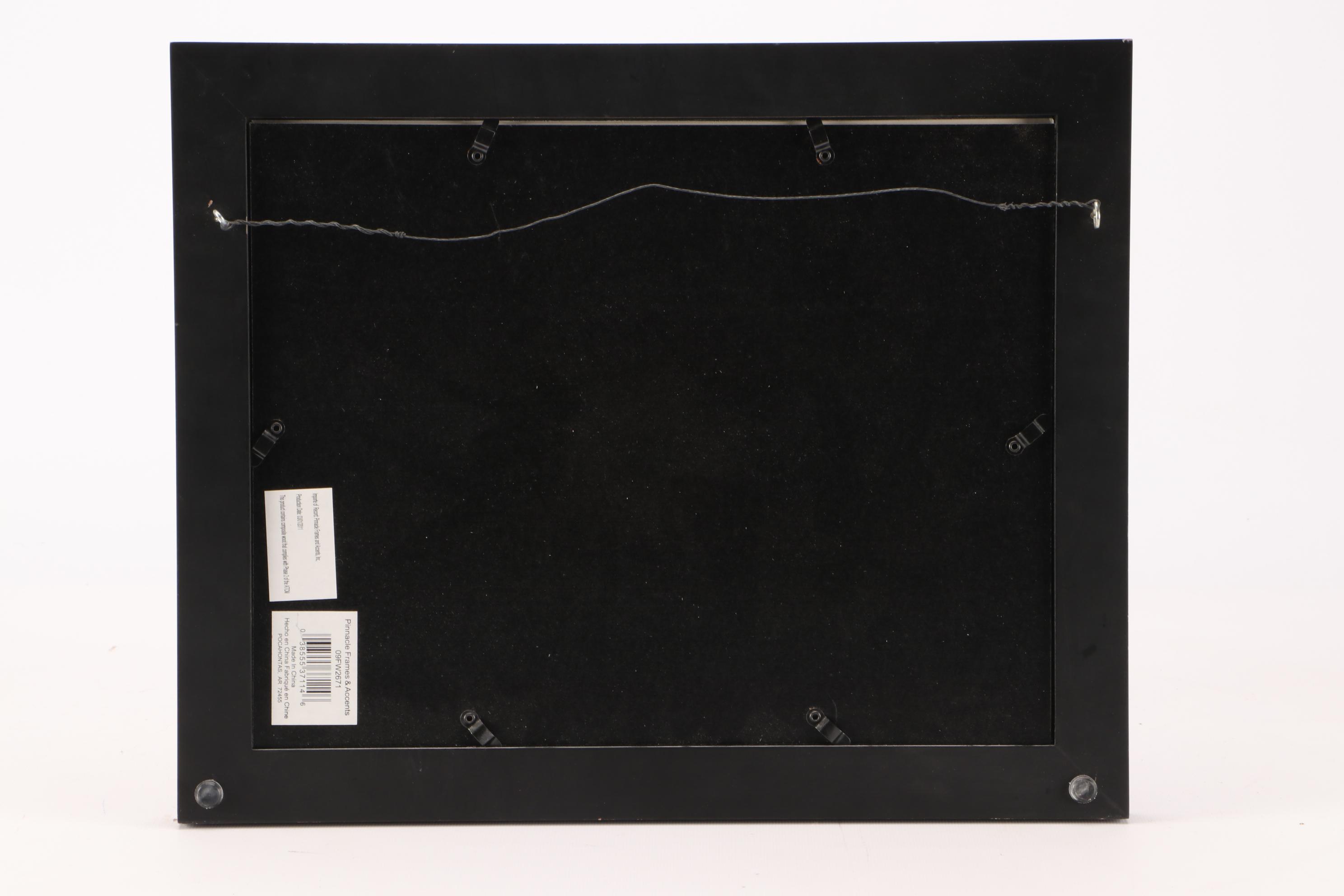 Danny Phifer Limited Edition Hand-Colored Etching "The Flight"