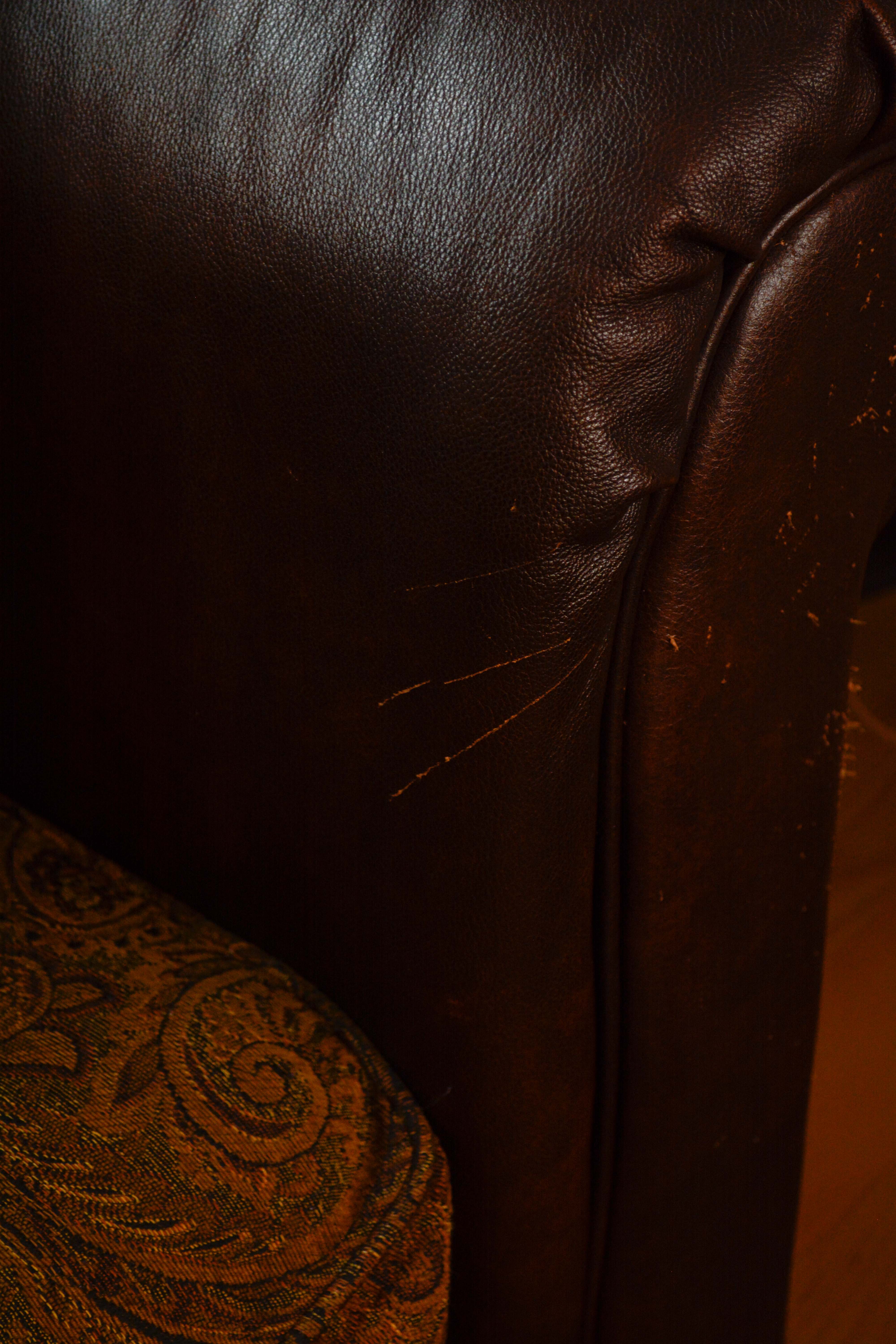 Leather and Paisley Loveseat by Ashley Home Furniture