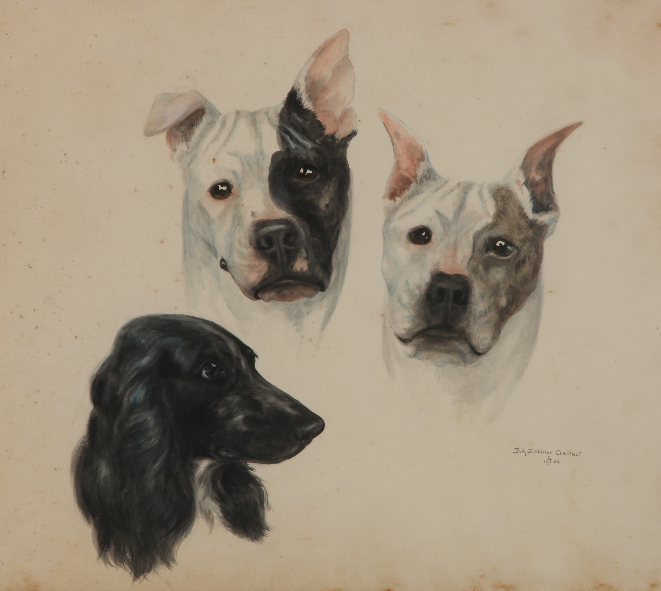 Billy Dohlman Chestnut Watercolor Painting