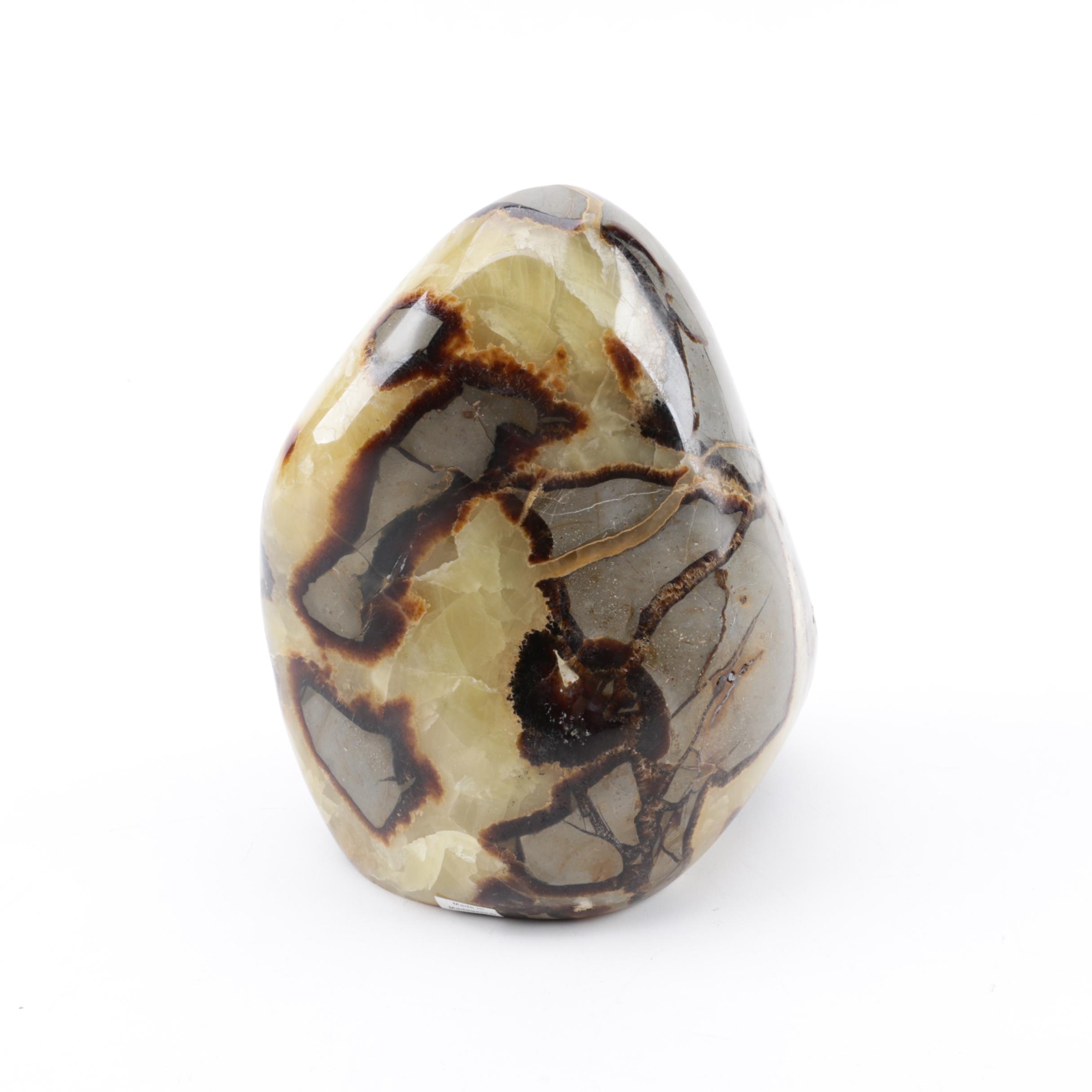 Polished Septarian Nodule